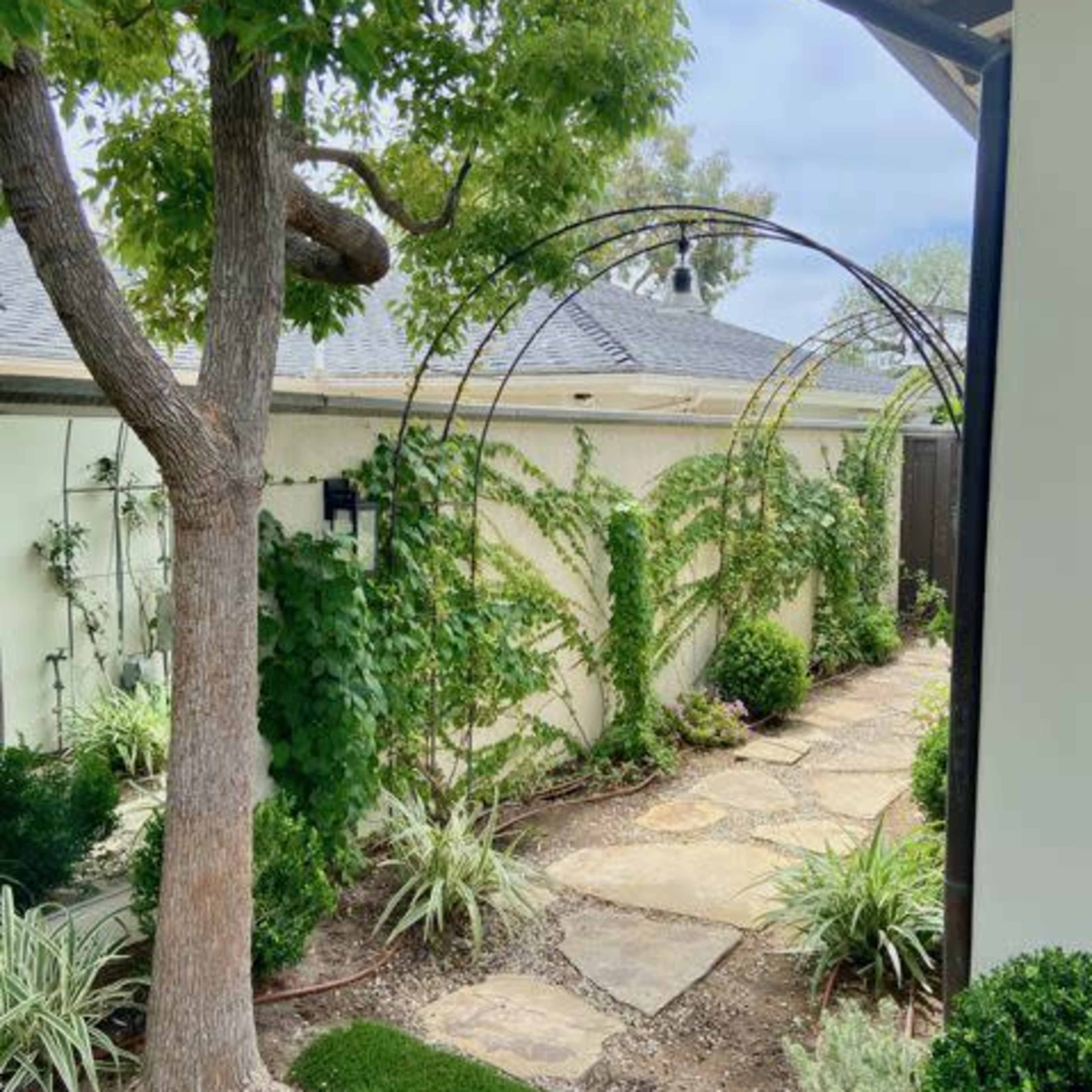 A stone pathway winds through a landscaped garden featuring greenery, an archway, and a large tree.
