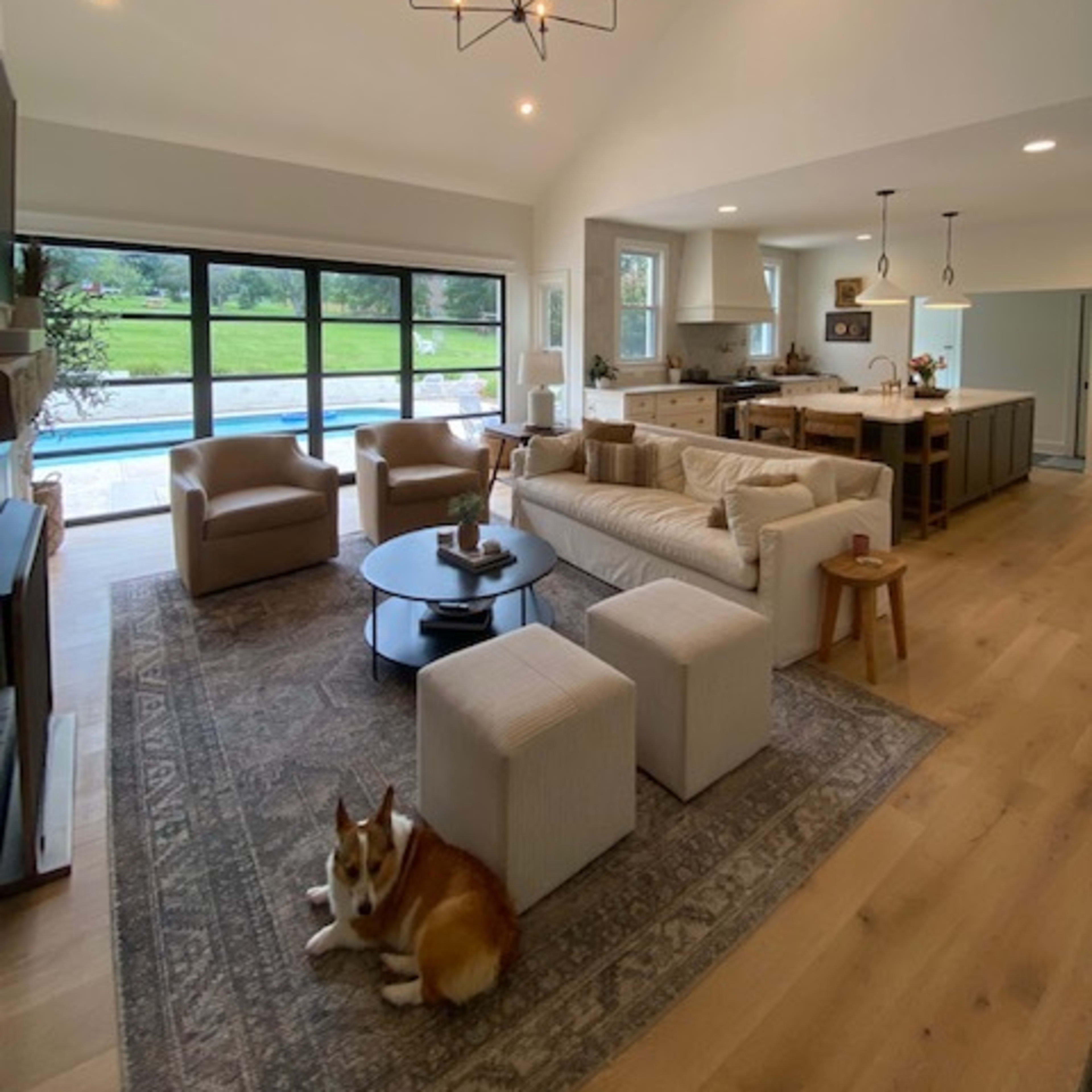 A spacious living room features a chandelier overhead, a circular coffee table, and a dog resting on a patterned rug, with large windows overlooking a green landscape.