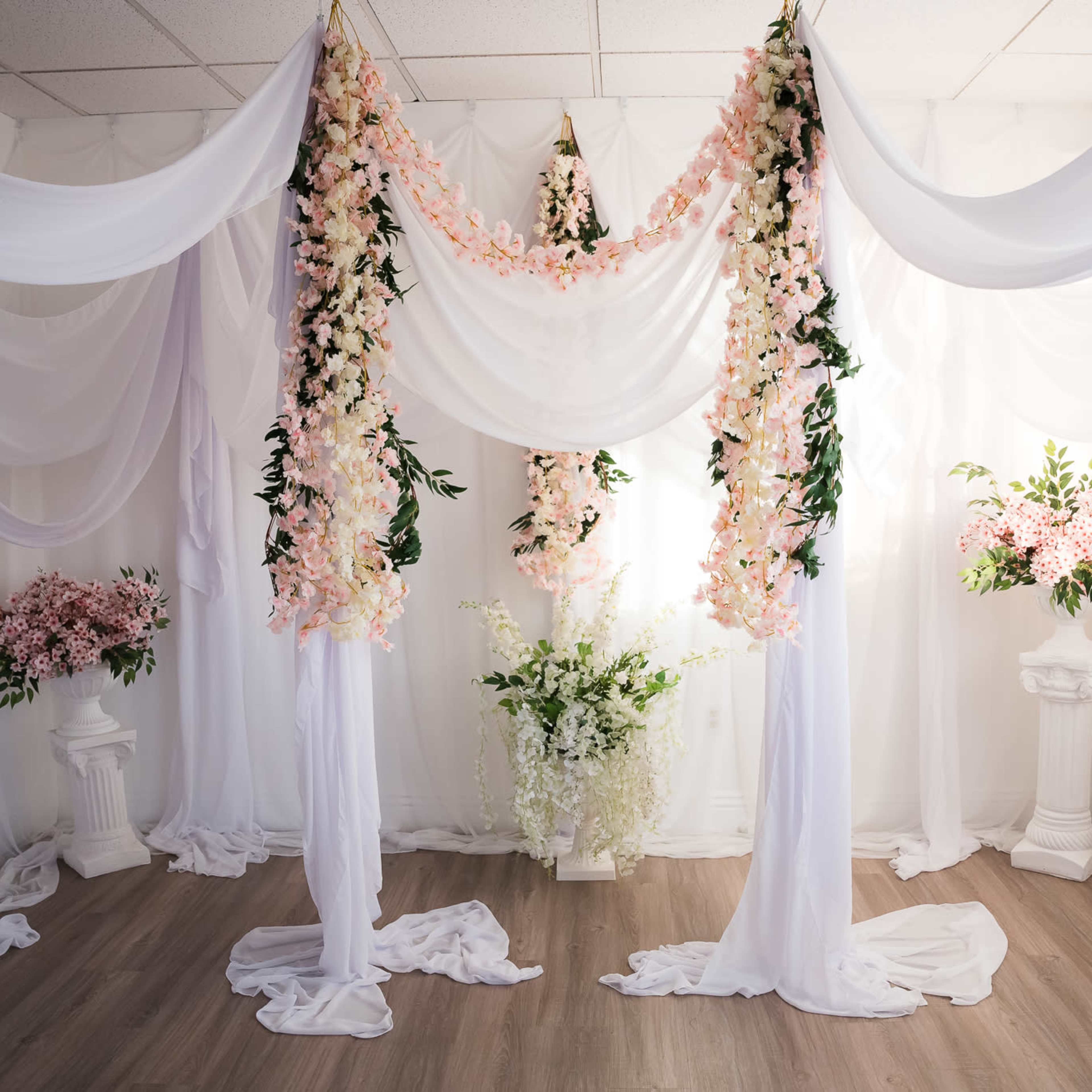 Natural Light Photo Studio Image in Palm Valley, Goodyear, AZ