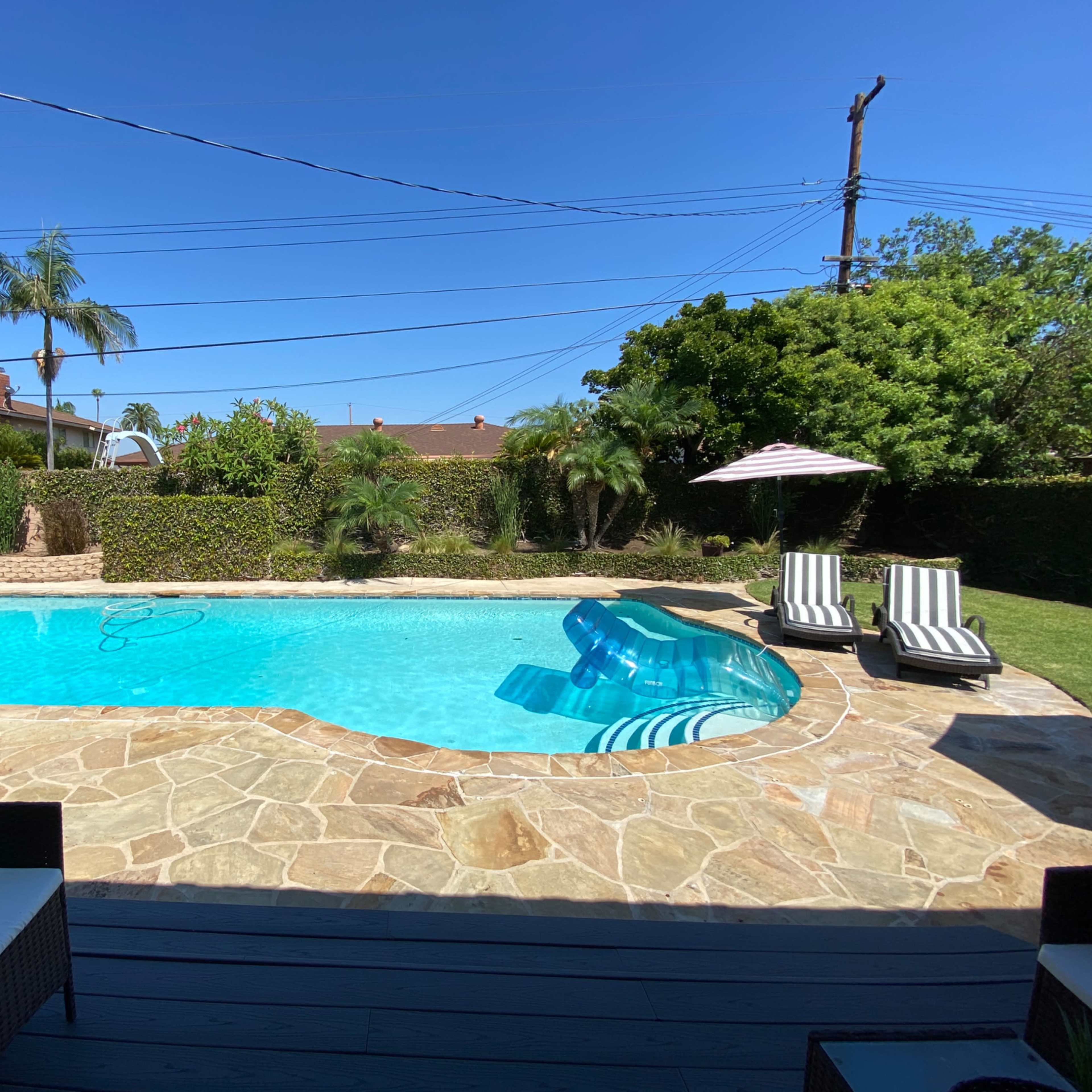 A swimming pool surrounded by stone flooring and lounge chairs is set in a backyard with palm trees and a hedge.