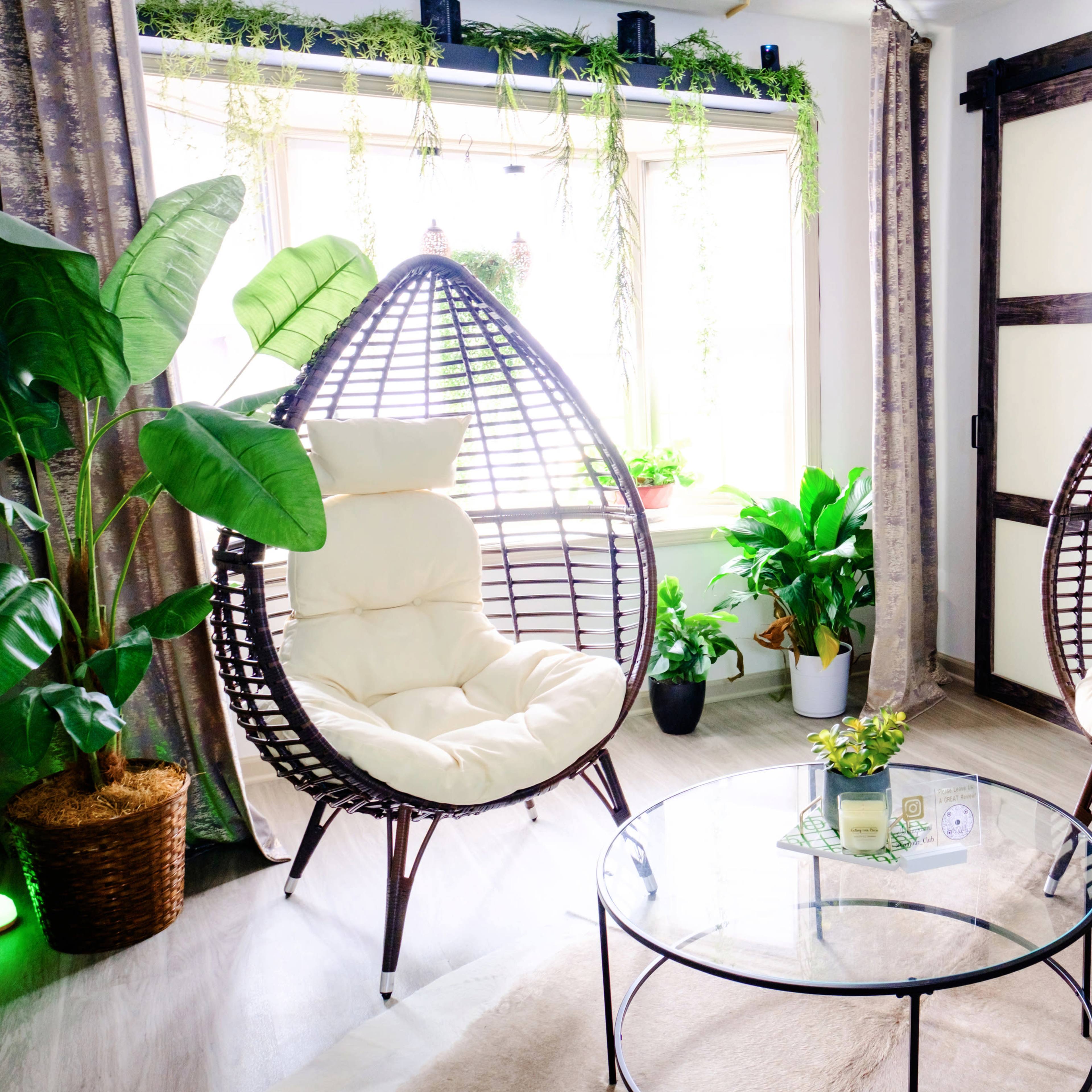 A cozy seating area featuring two egg-shaped chairs with cream cushions, positioned beside a glass coffee table and surrounded by various indoor plants.