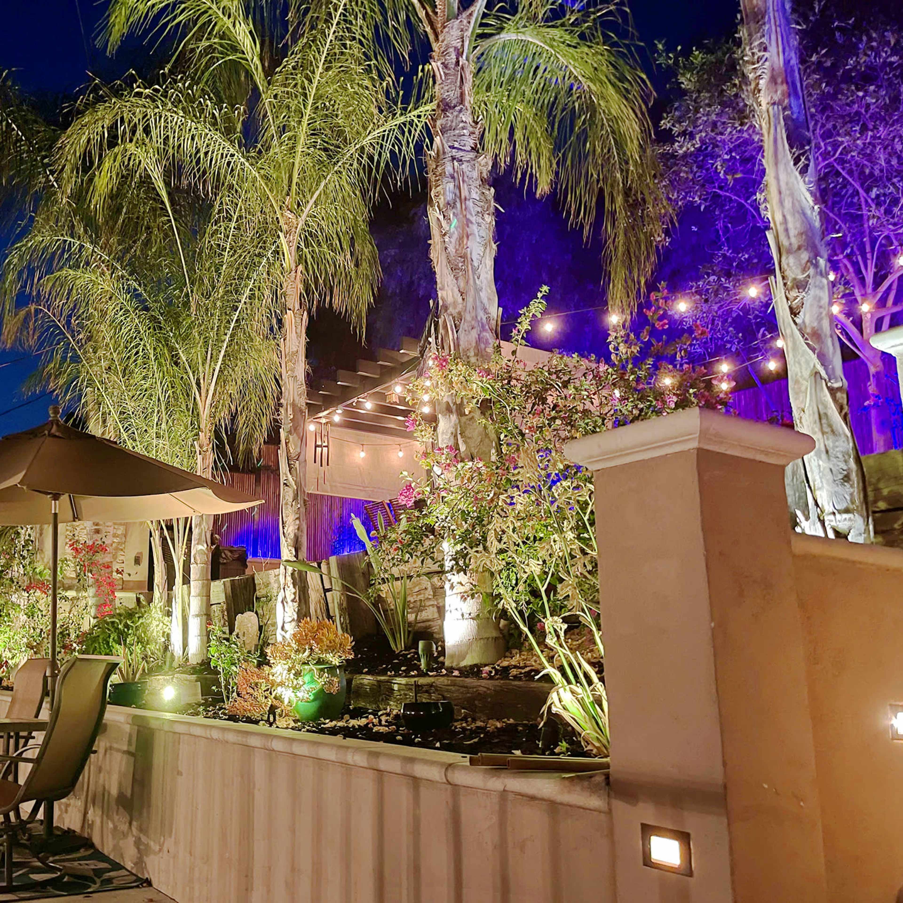 Tropical Palm Tree Zen Patio W/ Colored Lights in Quiet Residential Neighborhood Image in Woodland Hills, Los Angeles, CA