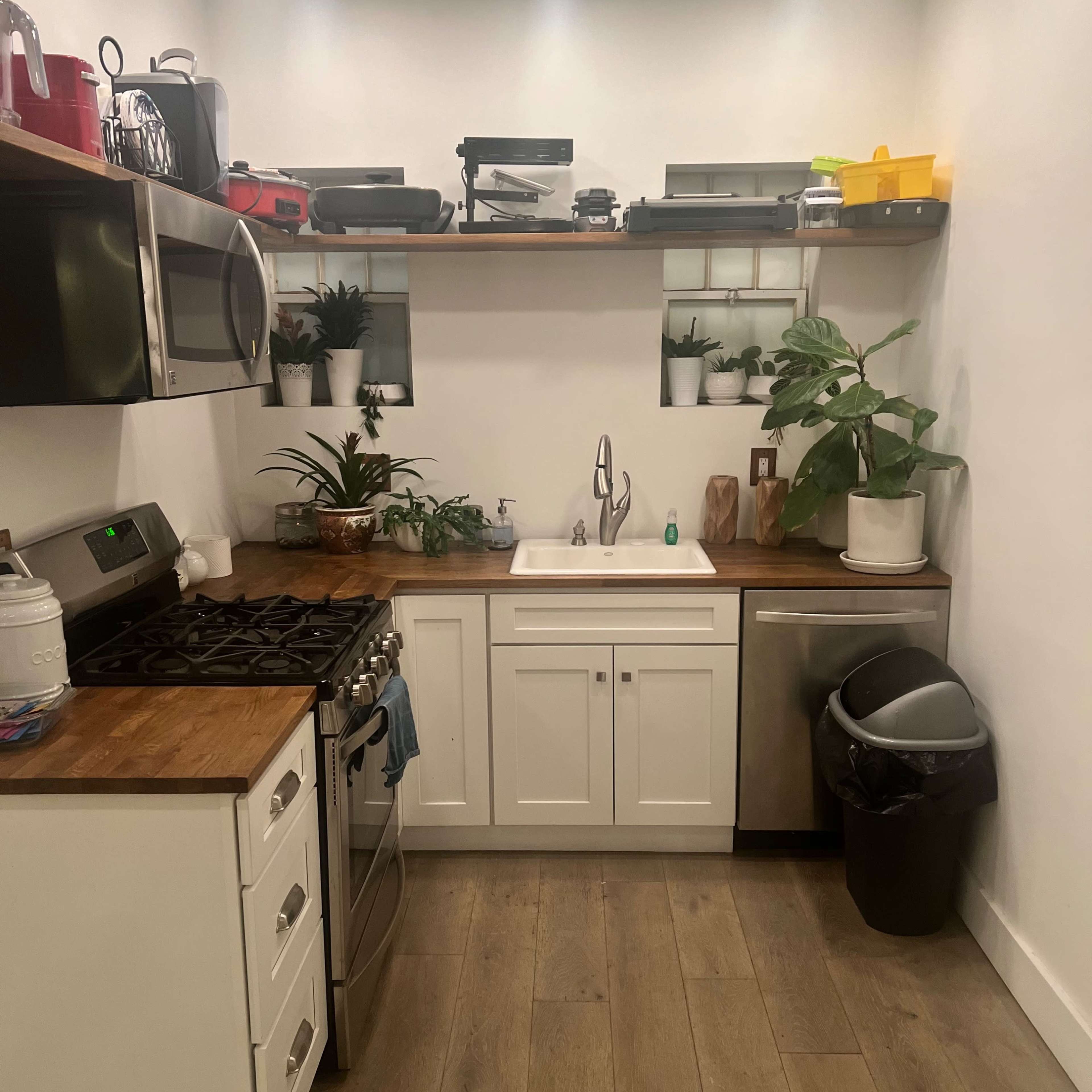 A small kitchen features modern appliances, wooden countertops, and shelves adorned with potted plants.