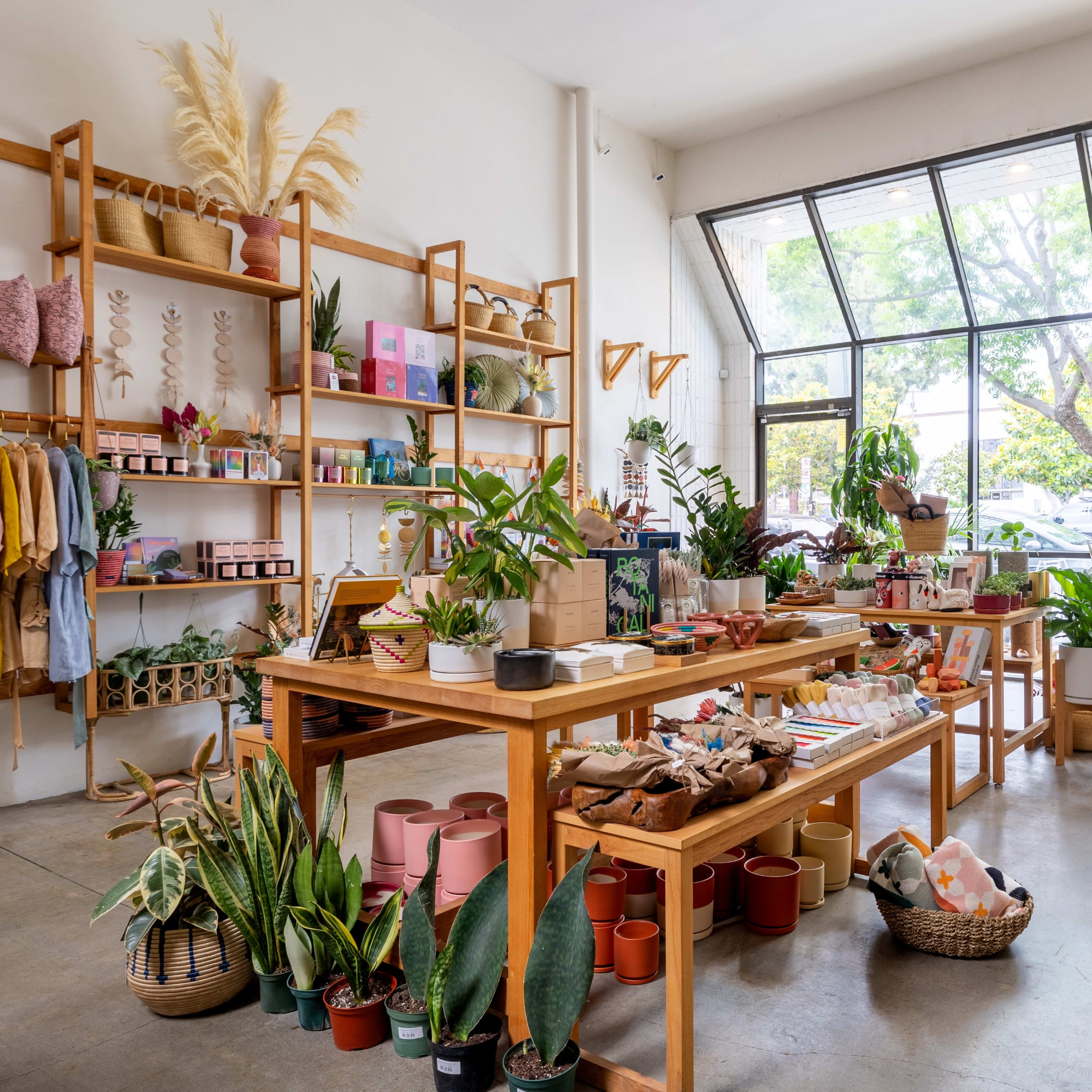 A well-organized storefront filled with various plants, natural decor items, and colorful products displayed on wooden tables and shelves.