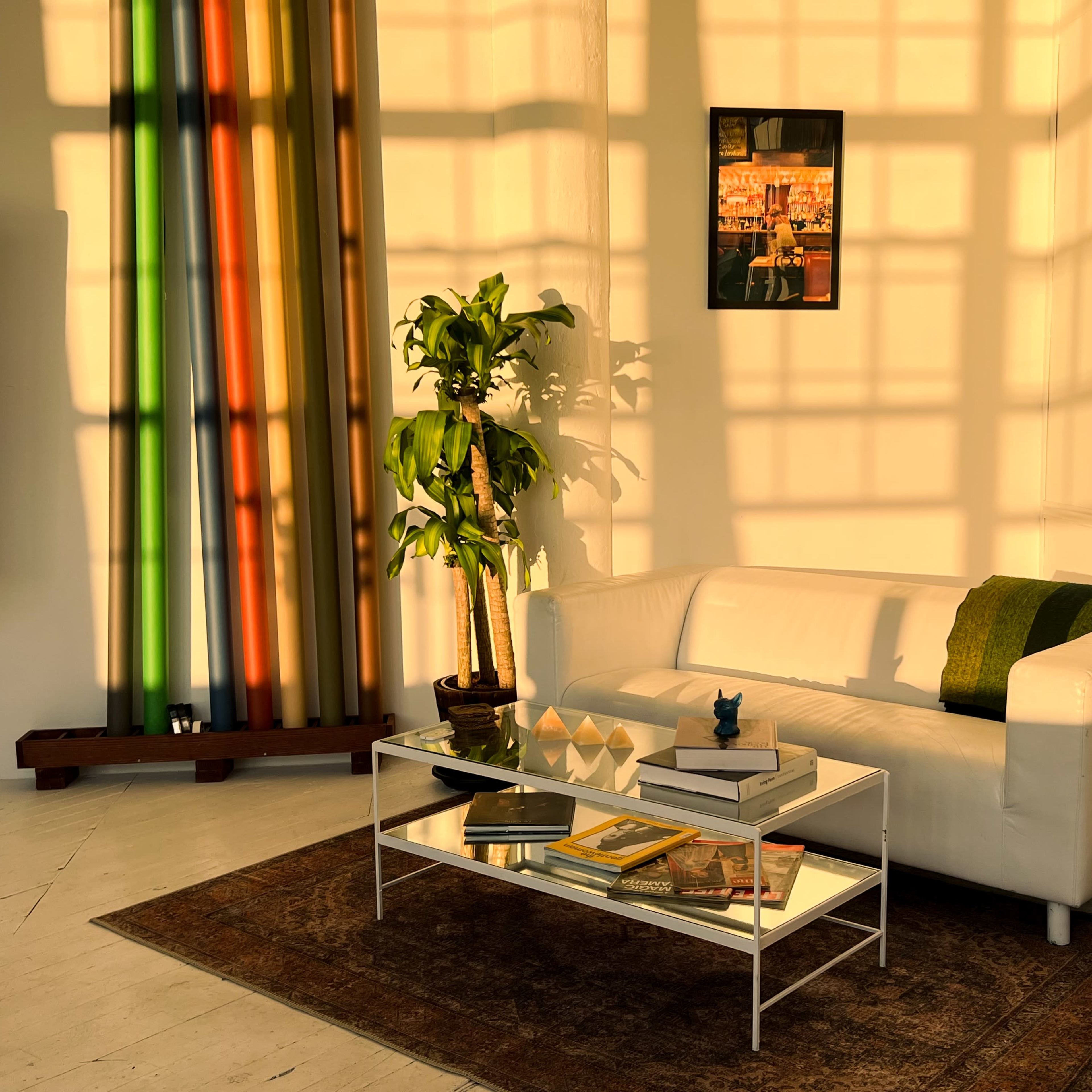 A bright room with a white sofa, a glass coffee table with books, a woven rug, and a potted plant, illuminated by shadow patterns from a window.