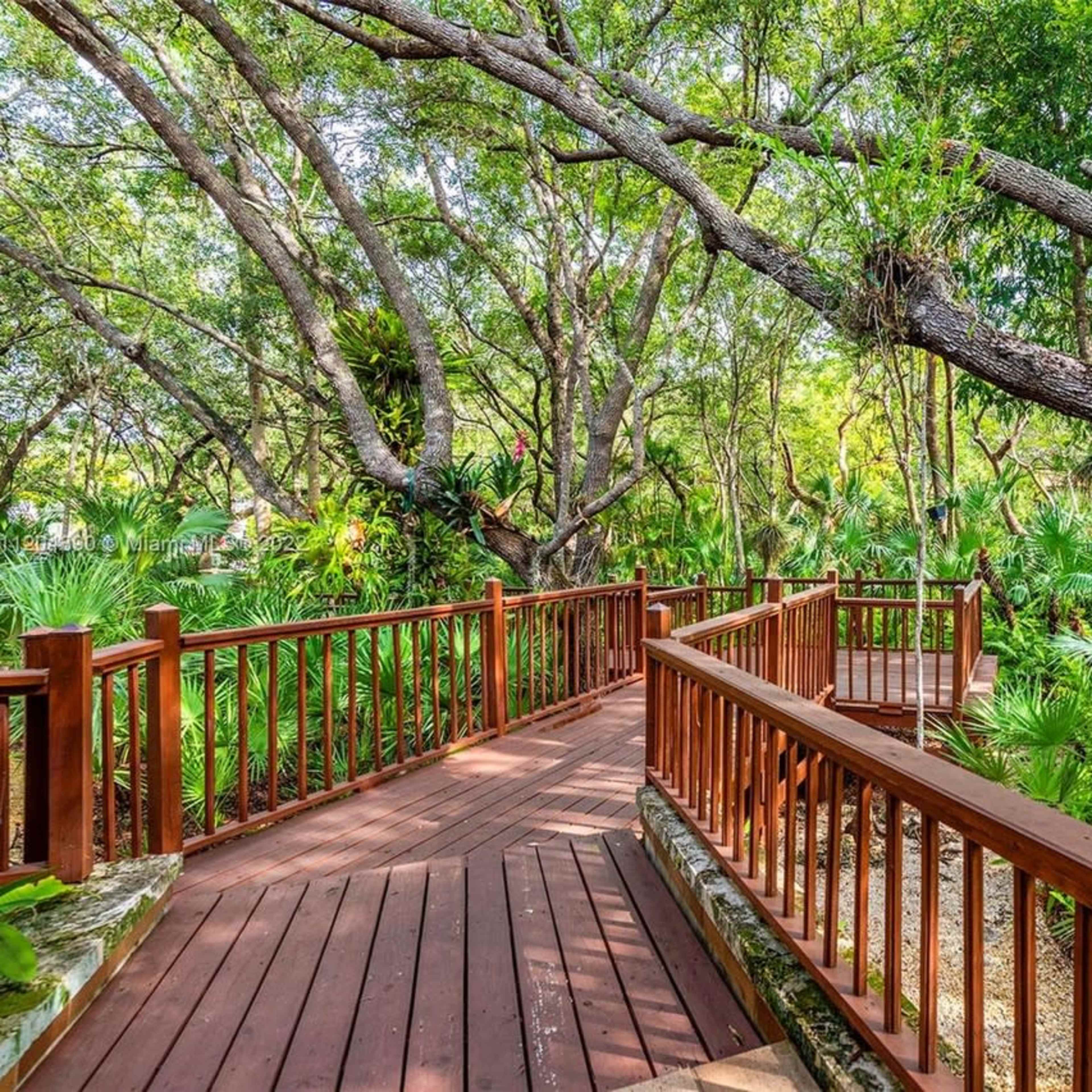 Unique home with Natural Hammock in Miami Image in Palmetto Bay, Palmetto Bay, FL