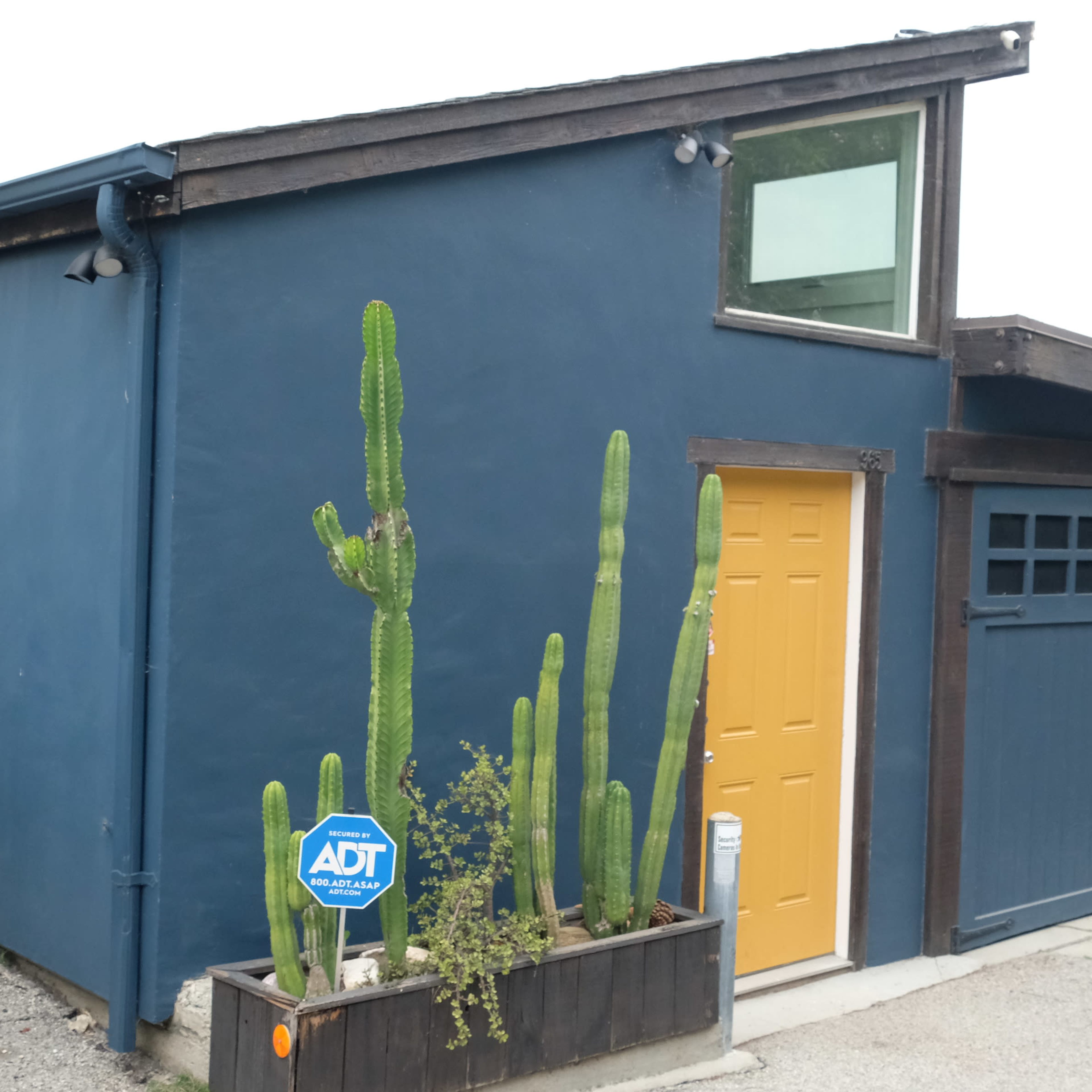 A blue house with a yellow door and a garage features tall cacti in a planter next to the entrance.