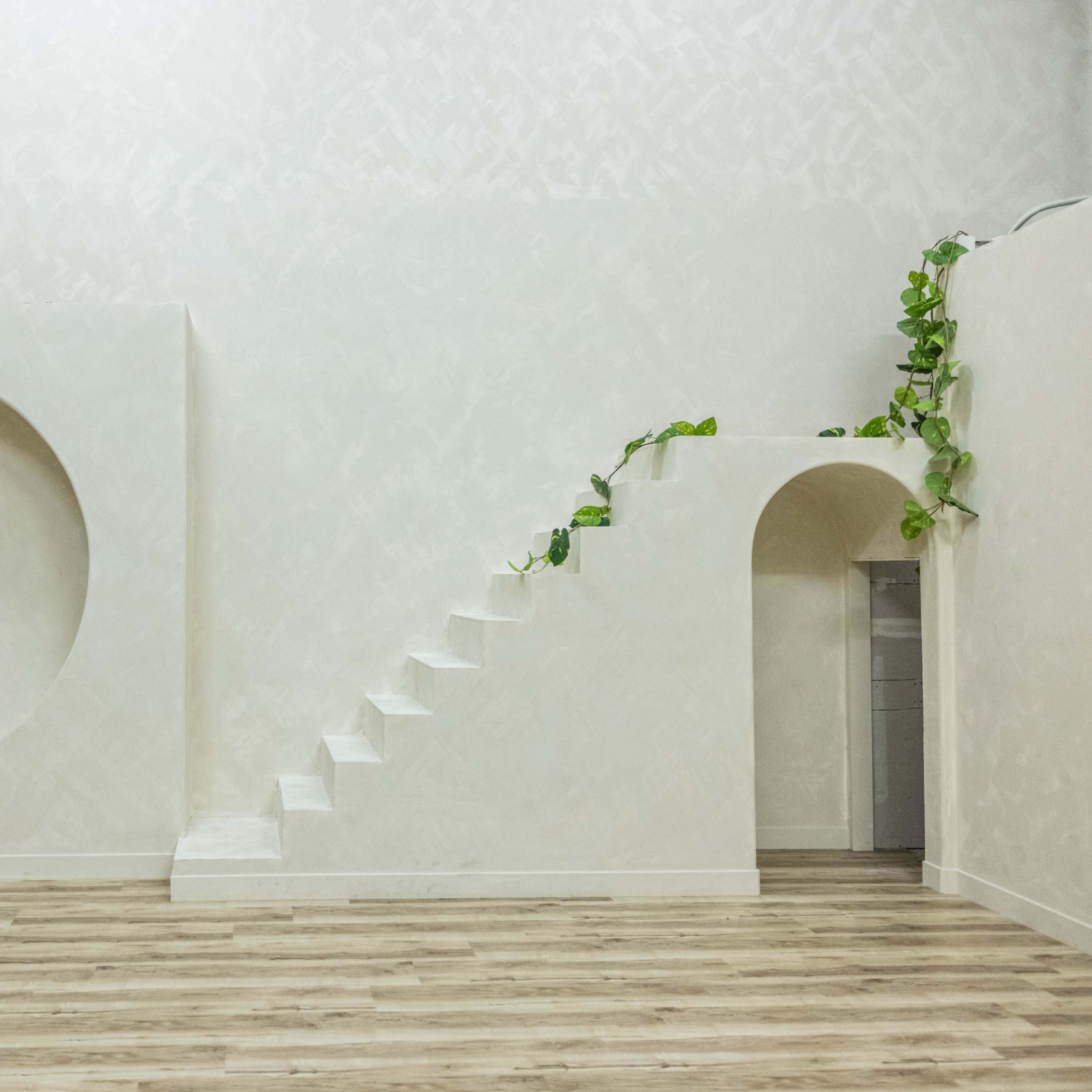 A minimalist interior with a circular recess on one wall, a staircase leading to an archway, and a plant trailing down the steps.
