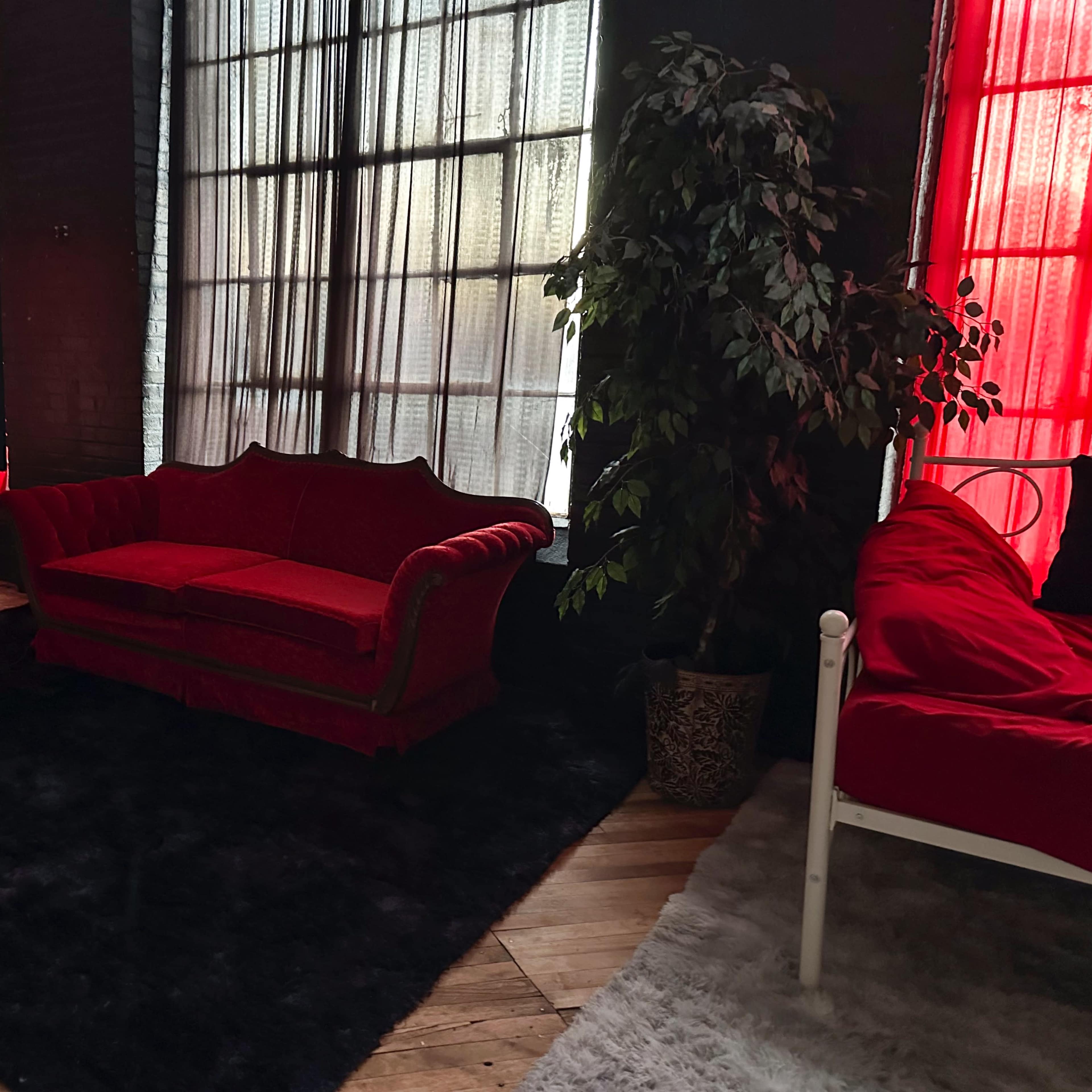 A red velvet sofa in a room with large windows covered by sheer curtains, alongside lighting equipment and a potted plant.