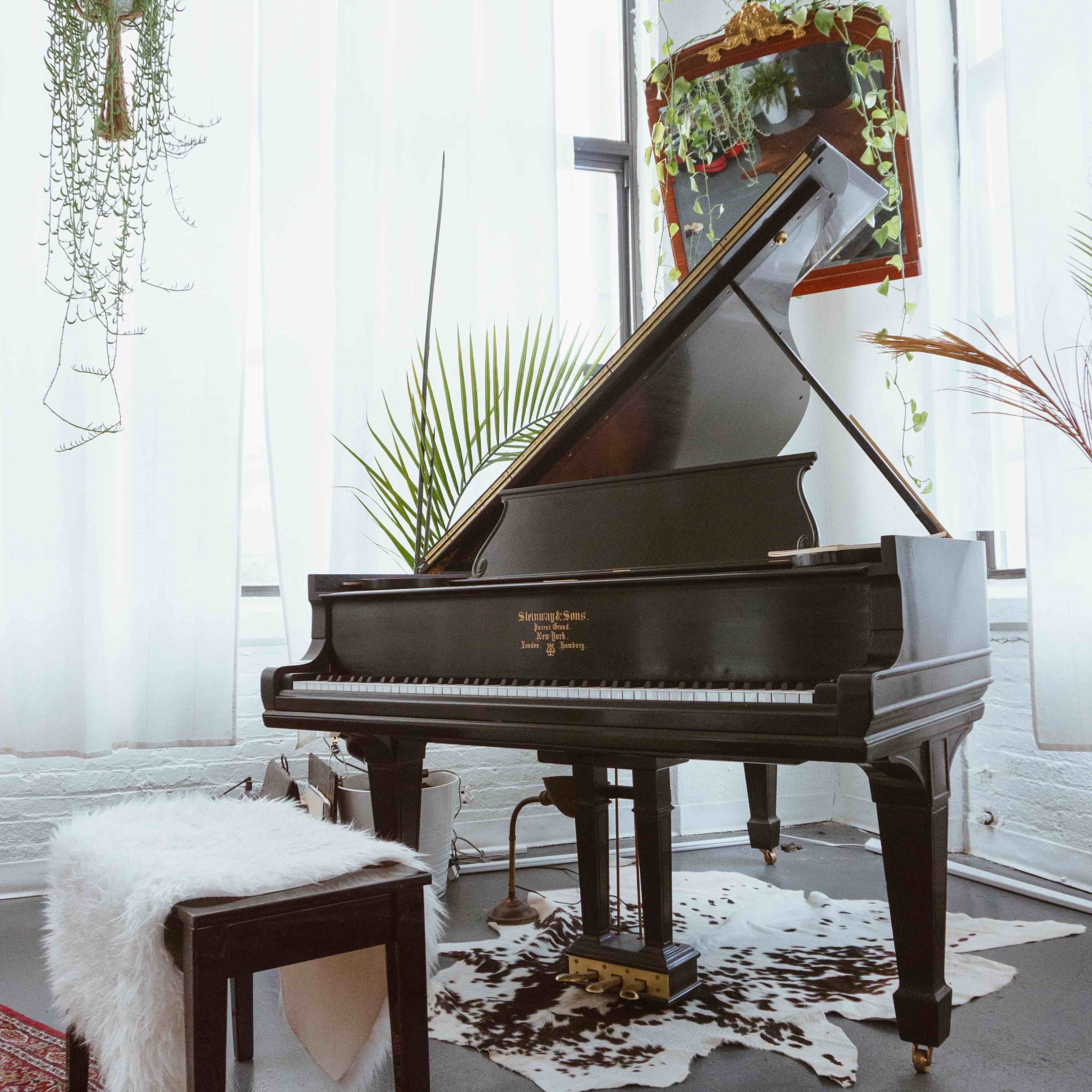 A grand piano sits next to a stool on a patterned rug, surrounded by plants in a brightly lit room with large windows.