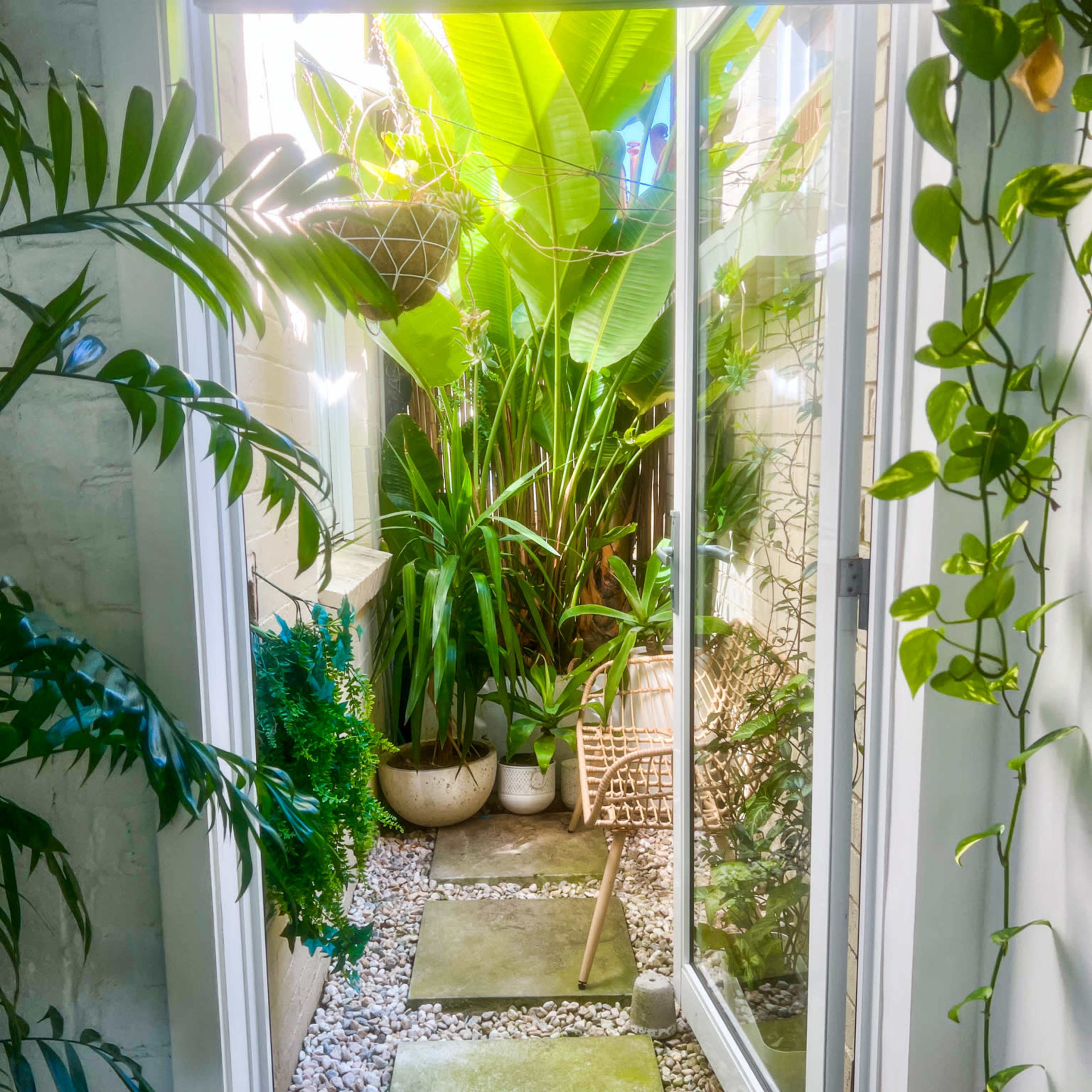 A narrow garden pathway with stone steps is framed by lush greenery and potted plants, leading to a secluded seating area.