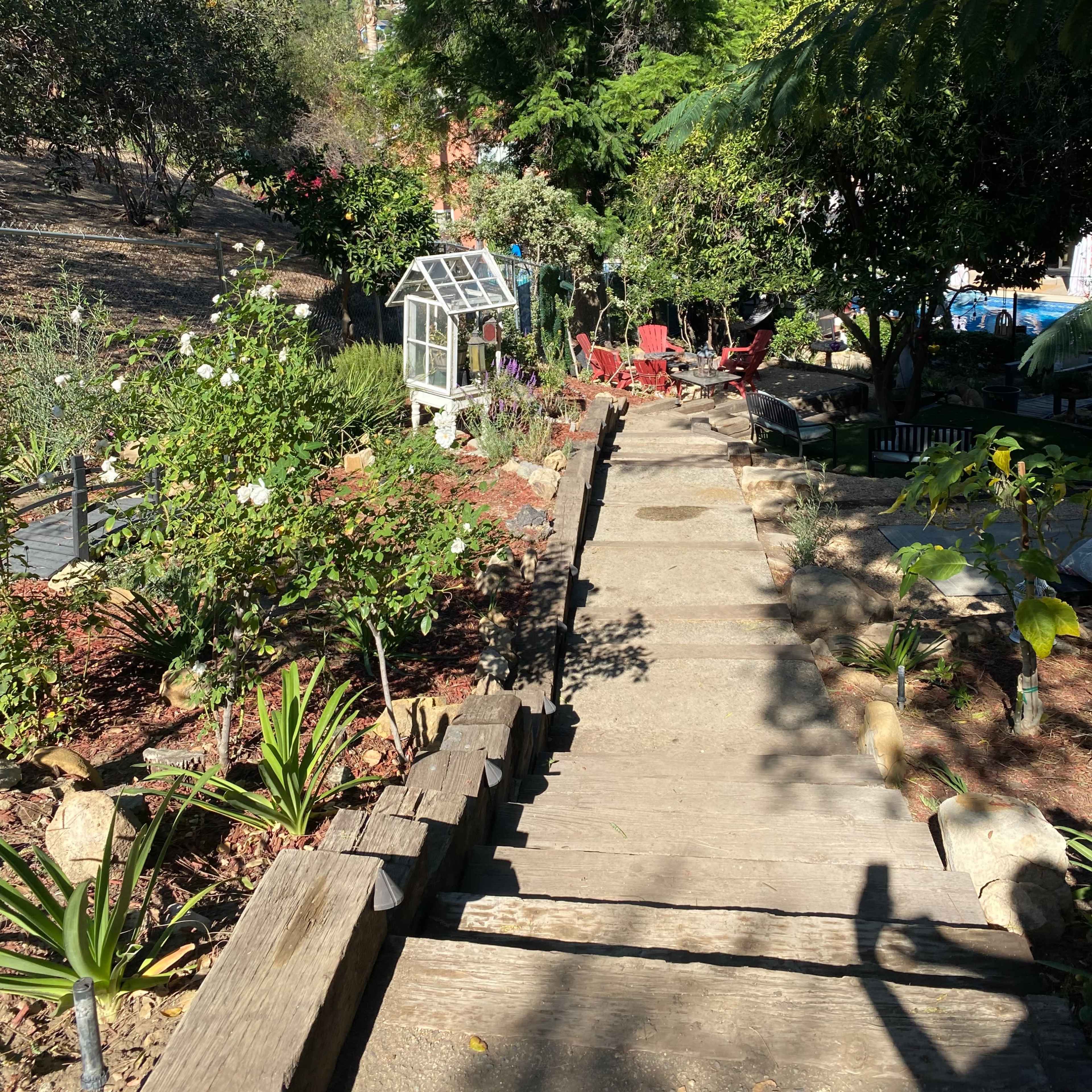 A concrete path leads through a garden filled with plants and flowers, flanked by seating areas and a greenhouse.
