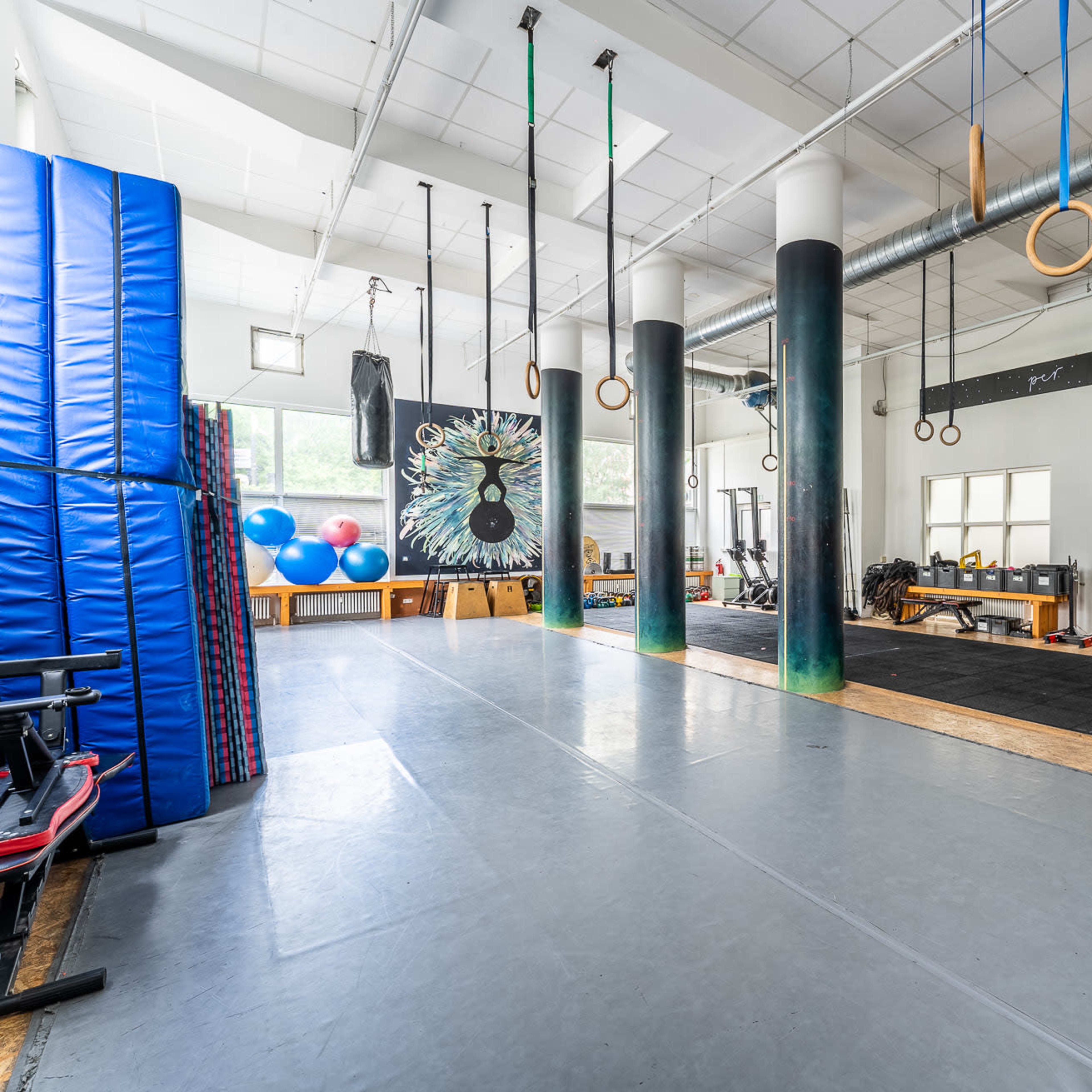 A spacious gym interior featuring hanging rings, exercise mats, and various fitness equipment, with blue exercise balls in the background.