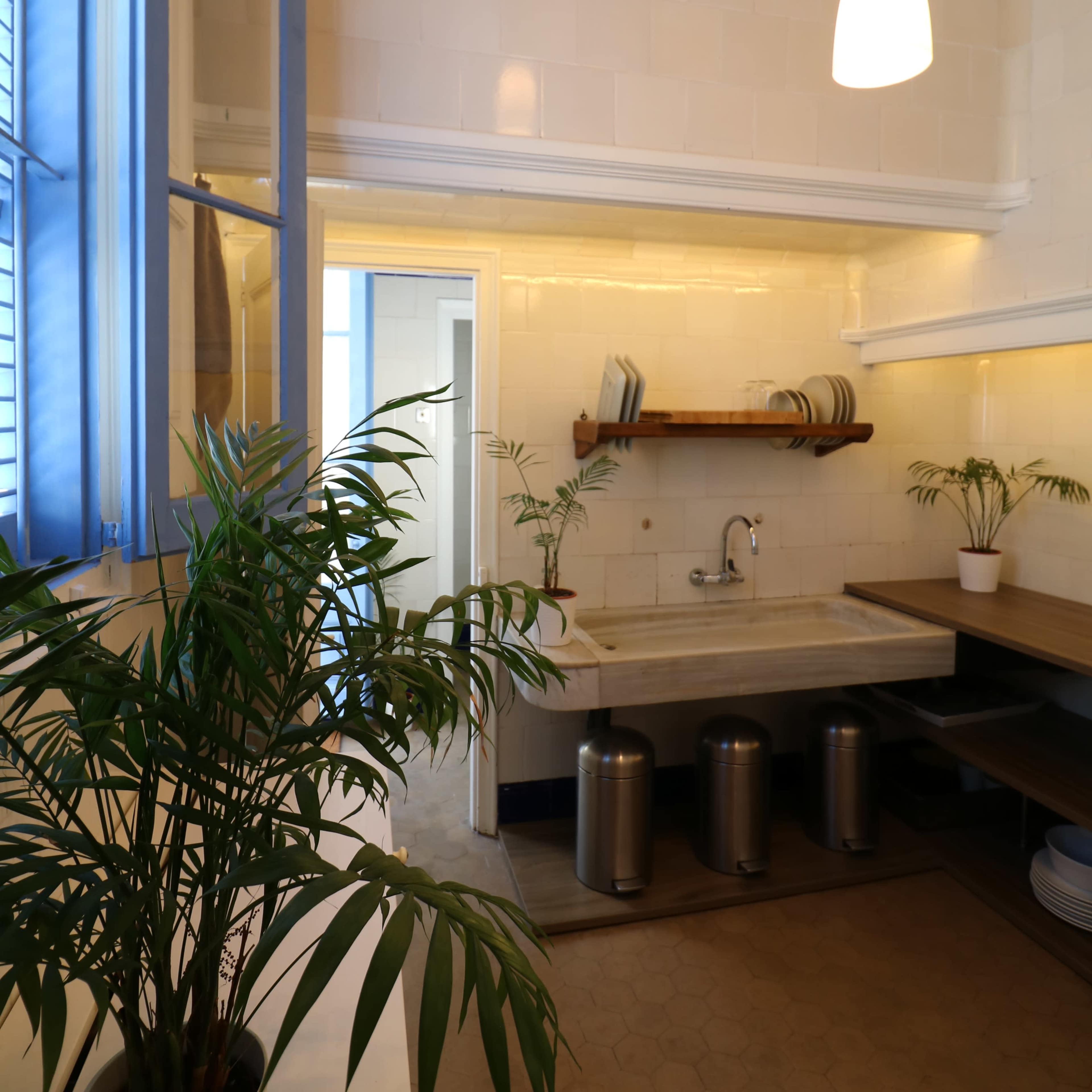 The kitchen features a sink area with a wooden shelf above, light-colored walls, blue windows, and potted plants.
