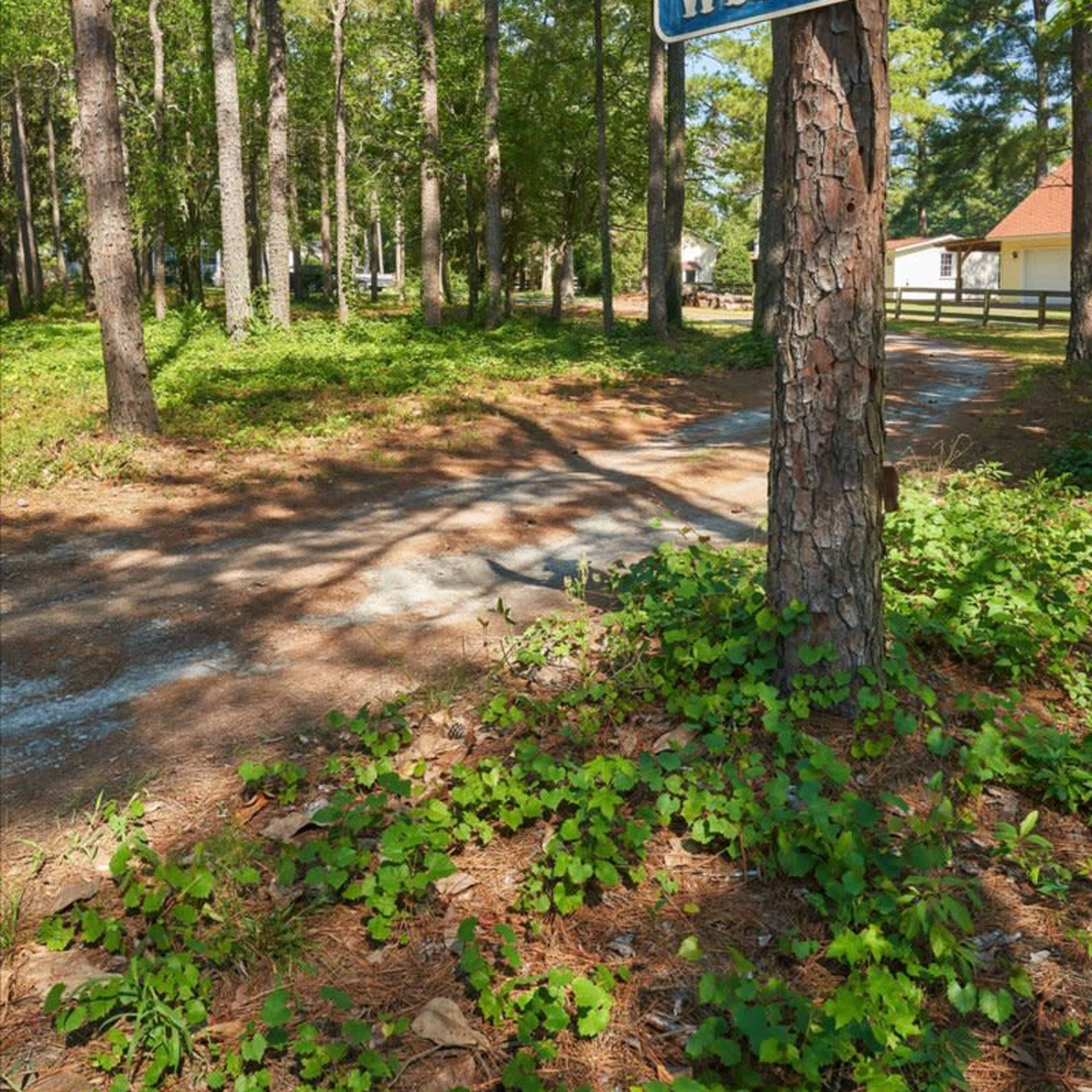 A "Welcome" sign stands on a tree at the entrance of a wooded path leading to a clearing with buildings in the background.