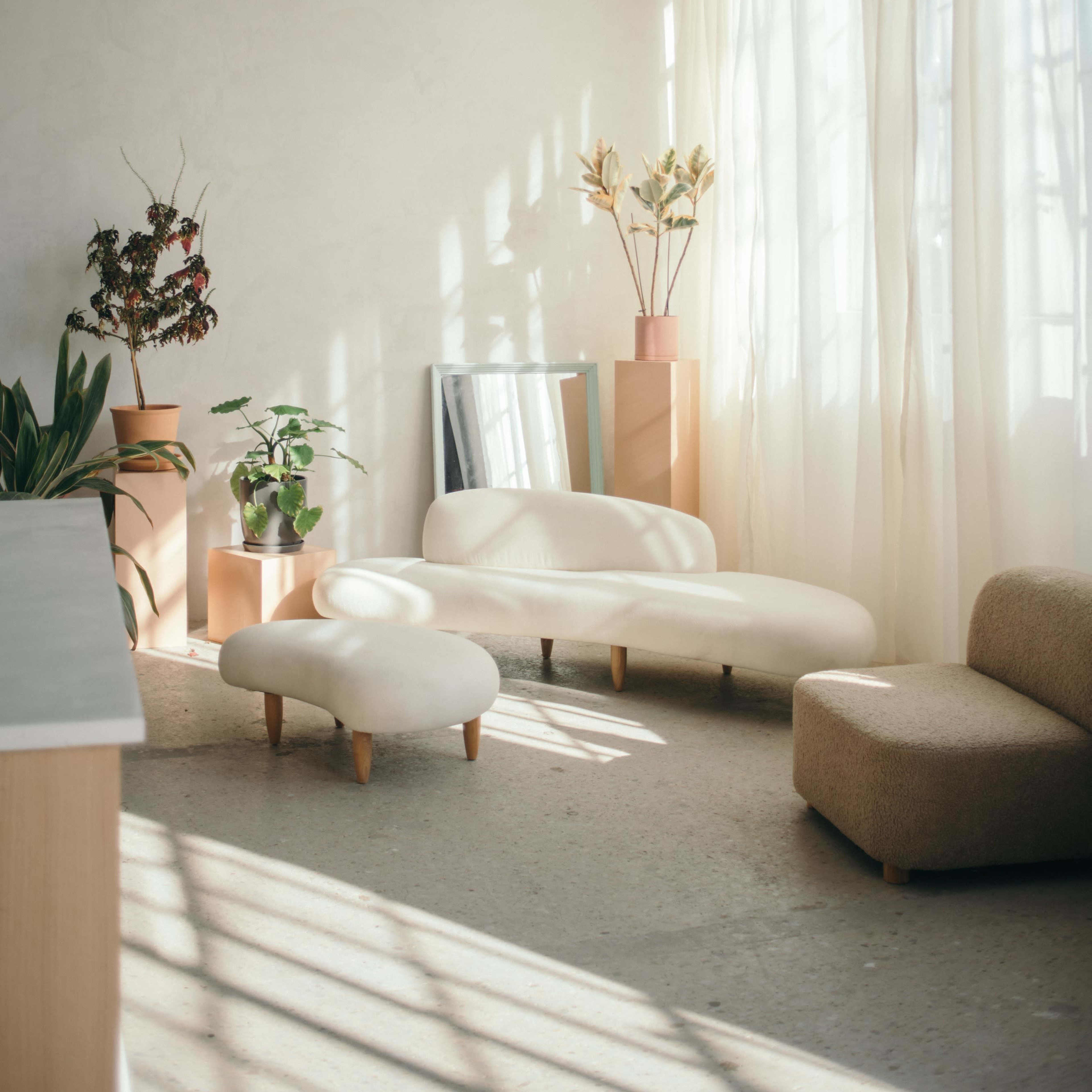 A sunlit interior with minimalist furniture, potted plants, and decorative elements arranged beside large windows.