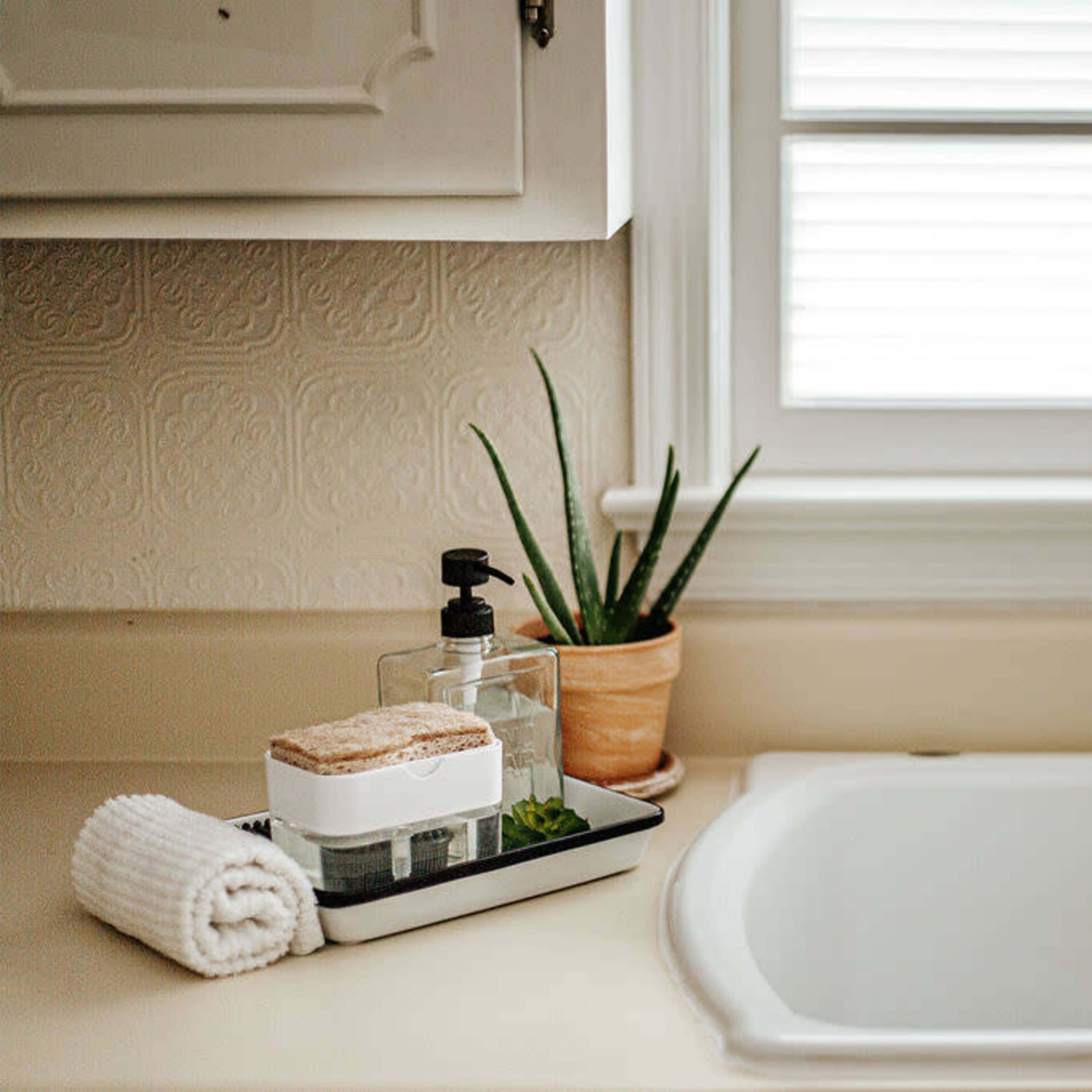 A clean kitchen sink area features a sponge in a holder, a soap dispenser, and a small potted plant.