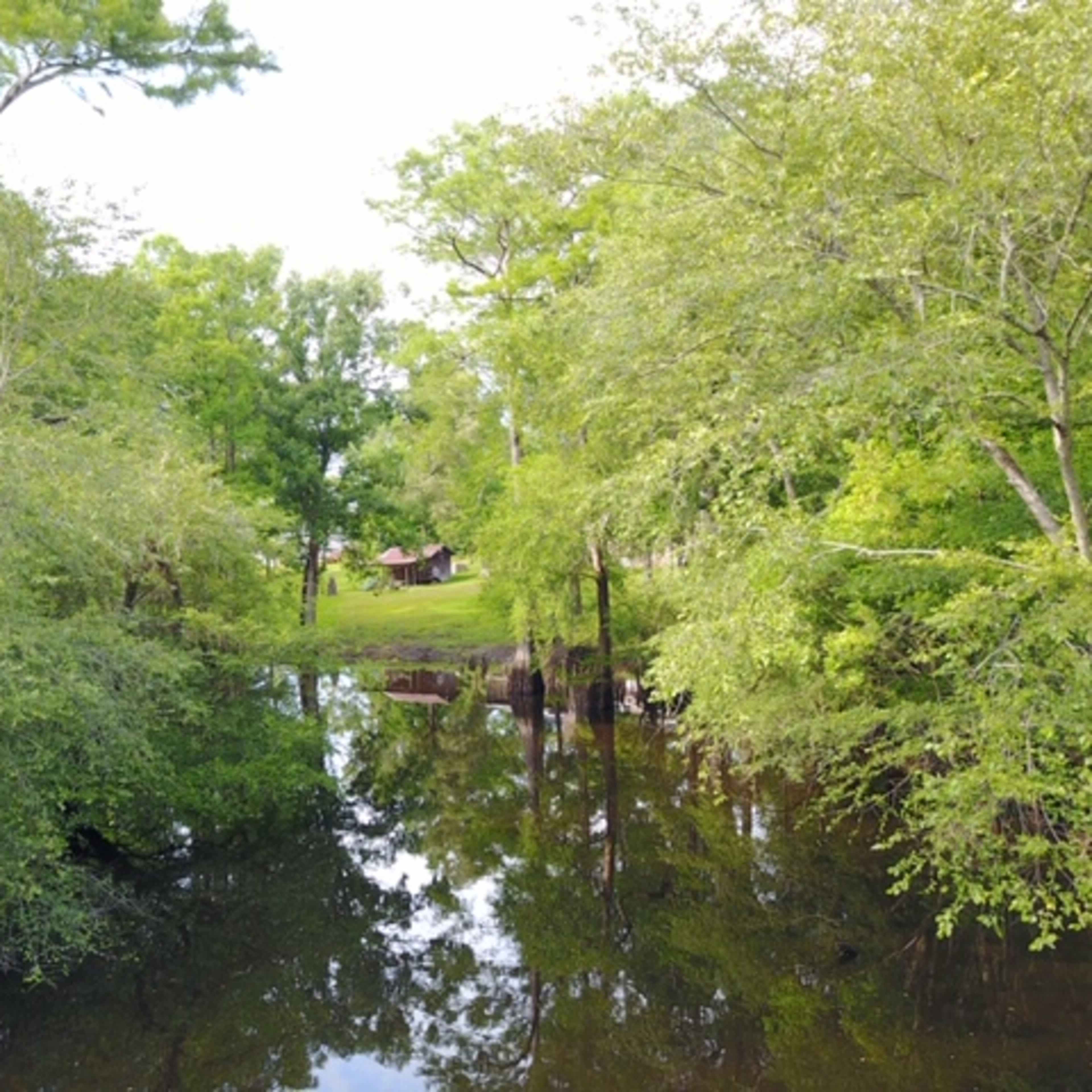 A small cabin is visible through lush greenery along the edge of a calm, reflective waterway.