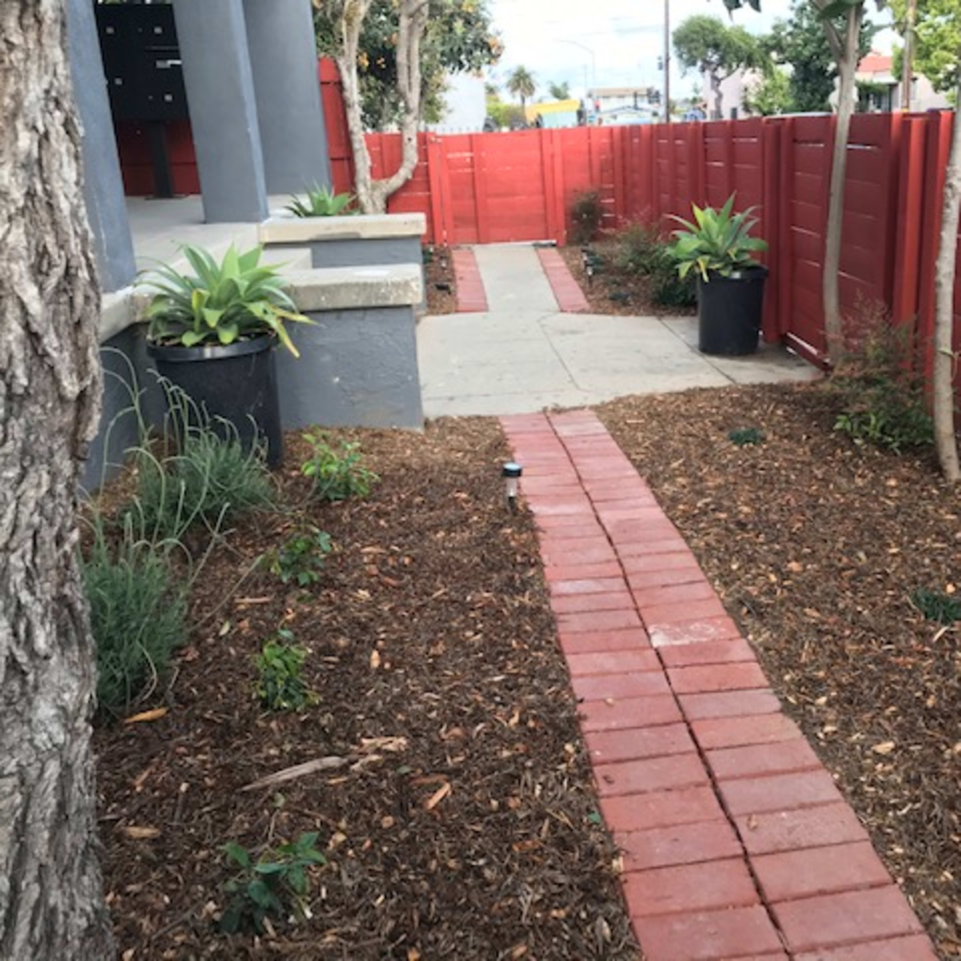A landscaped walkway made of red bricks, bordered by mulch and small plants, leading between a red wooden fence and a tree.
