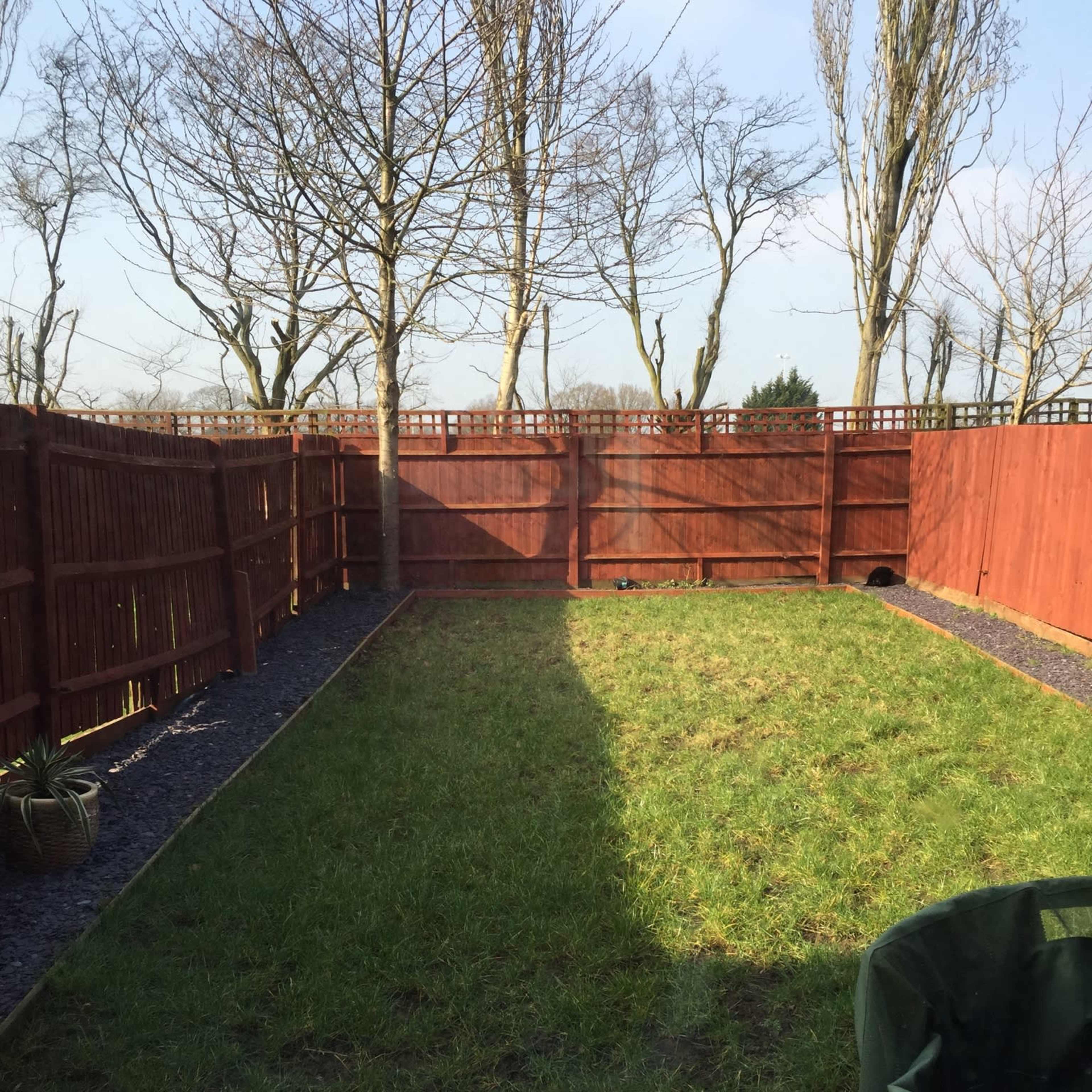 A grassy backyard enclosed by wooden fencing, with a stone pathway and bare trees in the background.
