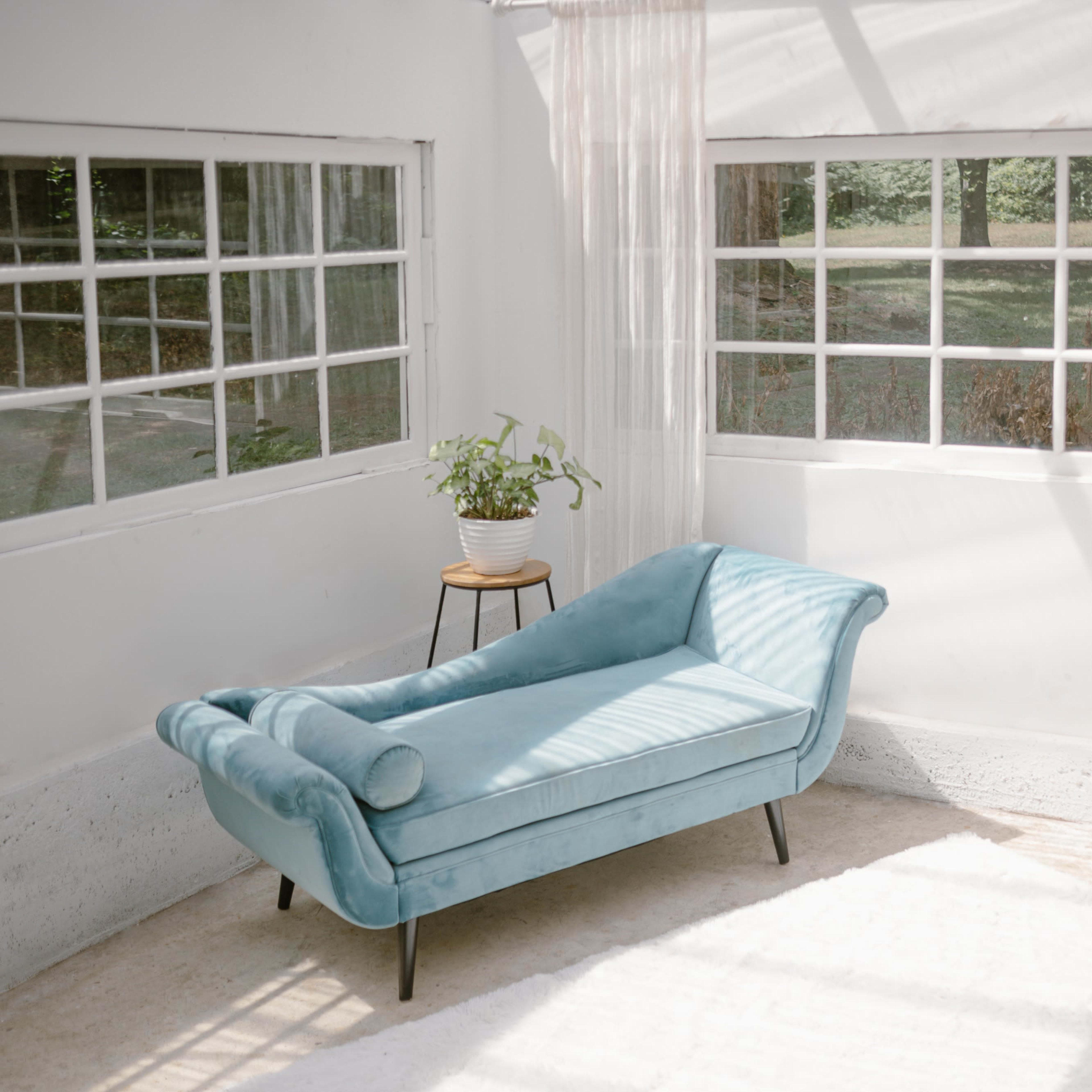 A light-filled room features a blue chaise lounge near a planter and large windows with sheer curtains.