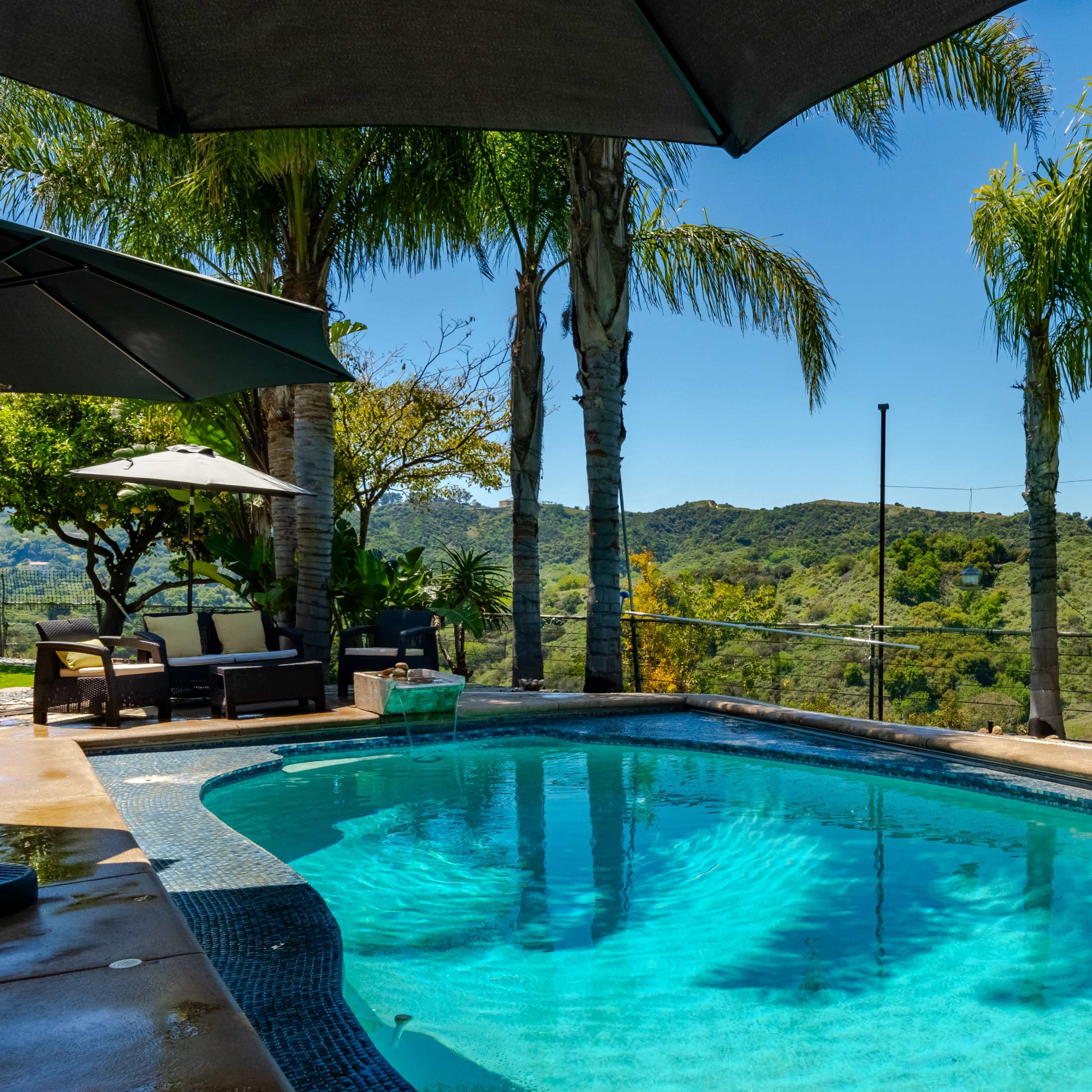 A swimming pool surrounded by palm trees and lush greenery overlooks a hilly landscape.