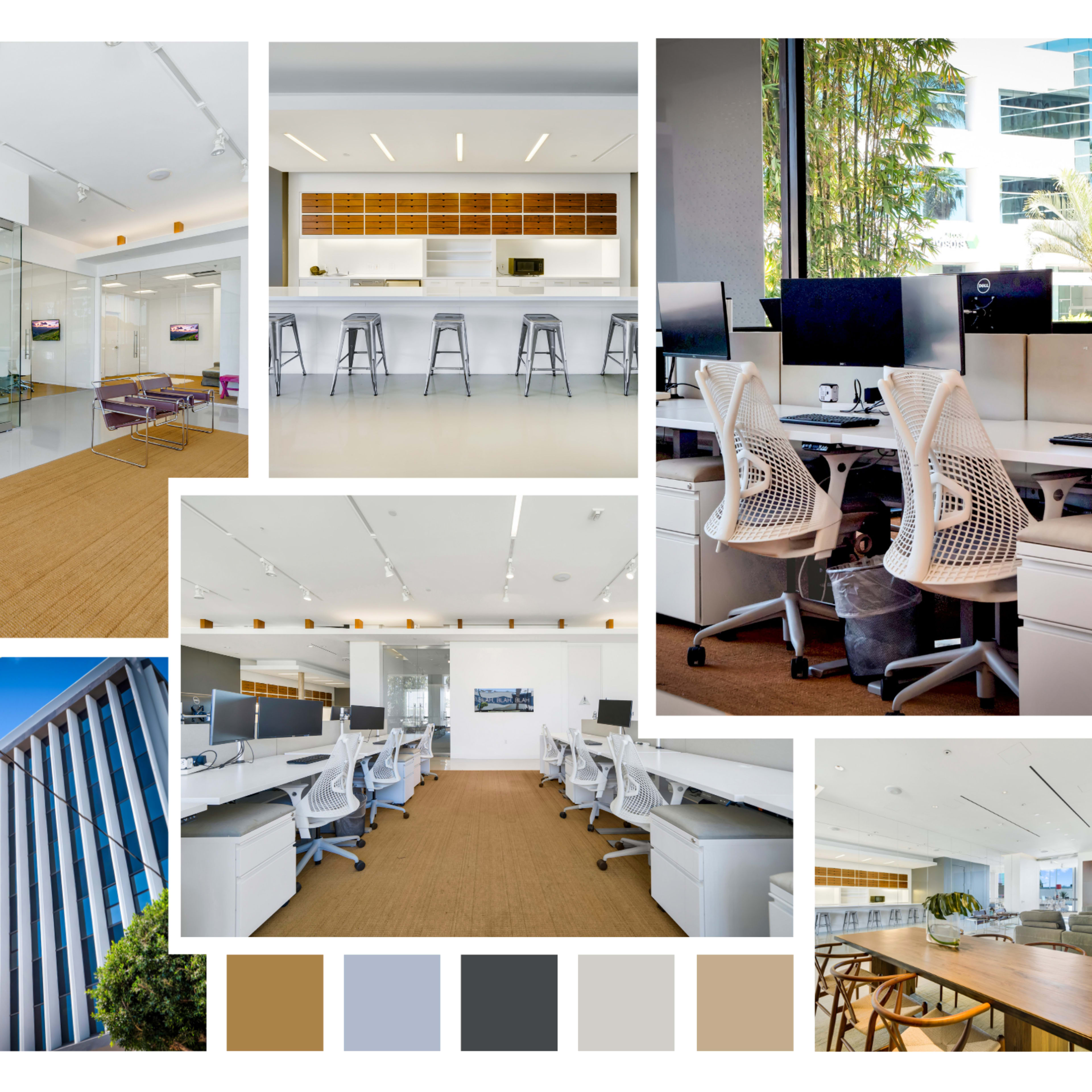 A modern office space featuring glass meeting rooms, workstations with ergonomic chairs, a sleek kitchen area, and an exterior view of a contemporary building.