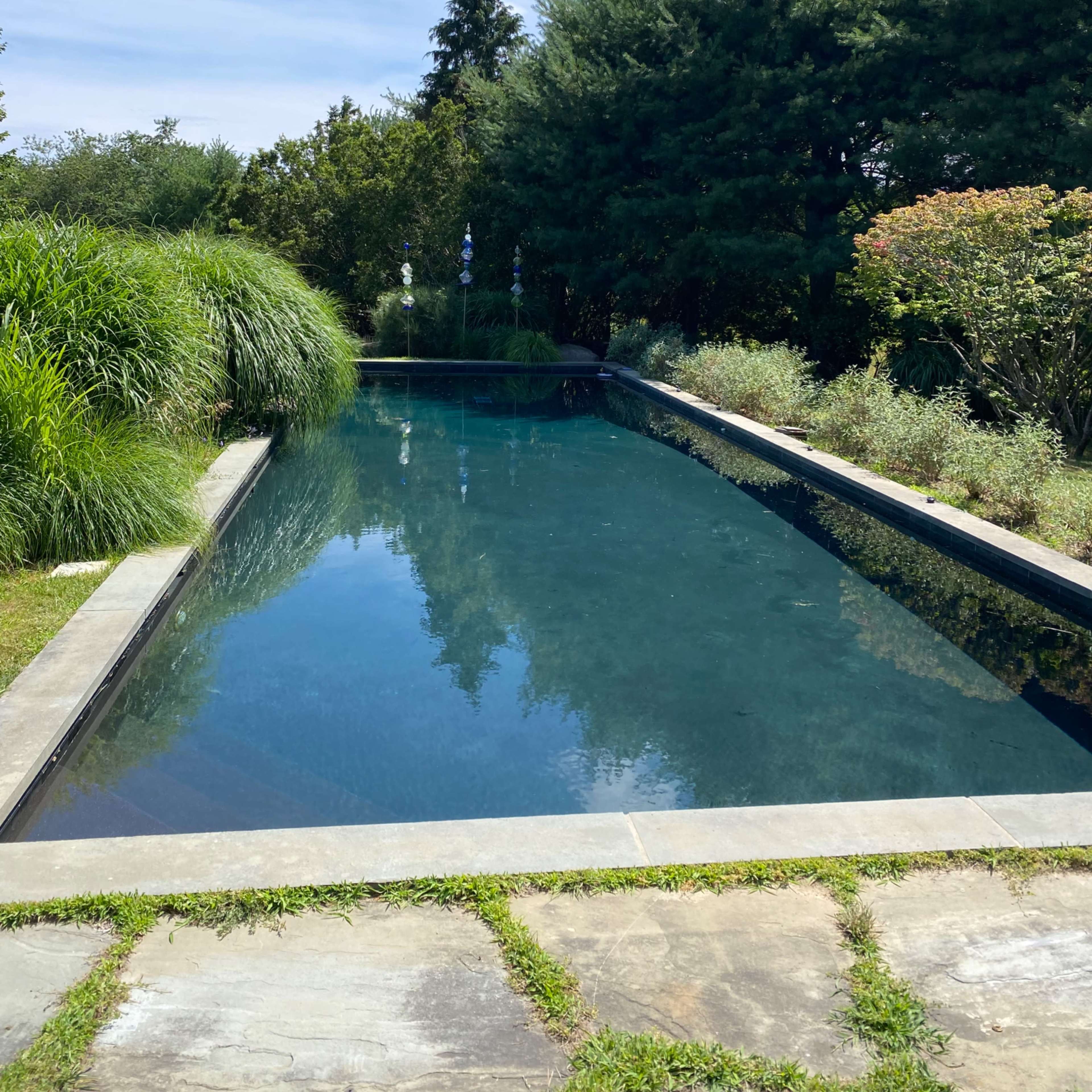 A clear swimming pool surrounded by lush greenery and trees under a blue sky.