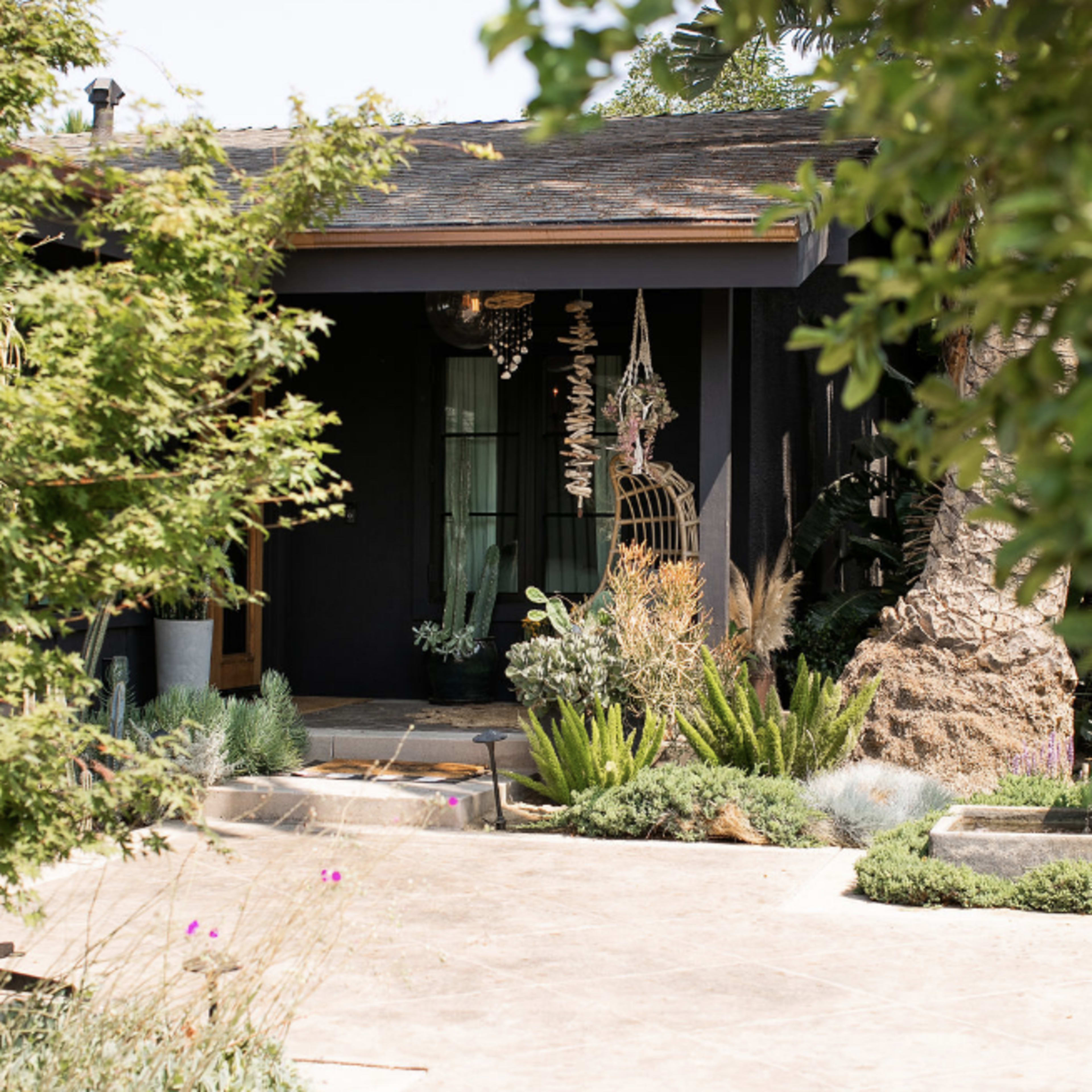 A black house with large windows is surrounded by various plants and trees, featuring a decorative entrance and a stone pathway.