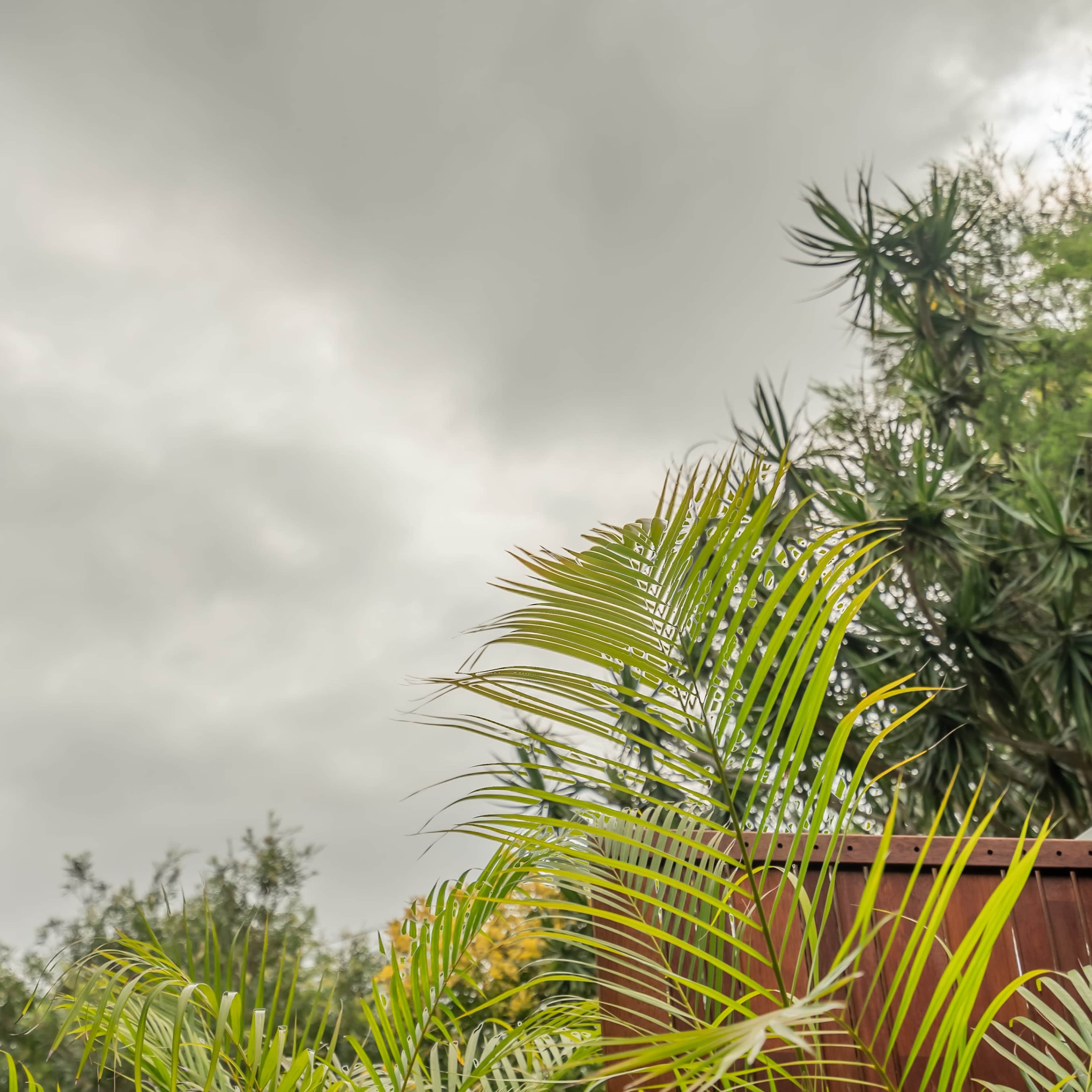 The corner of a house with a dark roof and lush green plants beneath a cloudy sky.