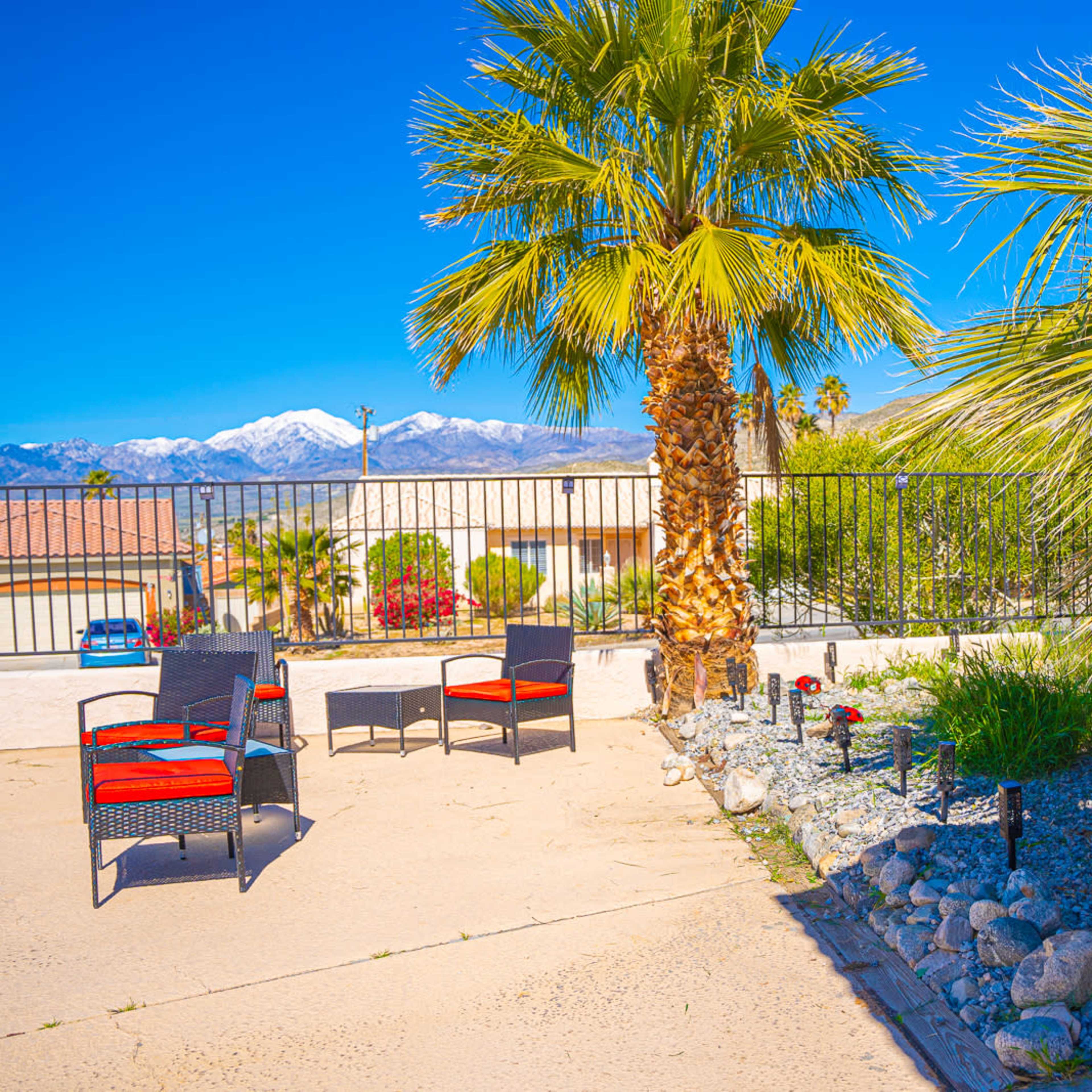 A seating area with chairs arranged around a palm tree and a gravel garden, set against a backdrop of mountains.