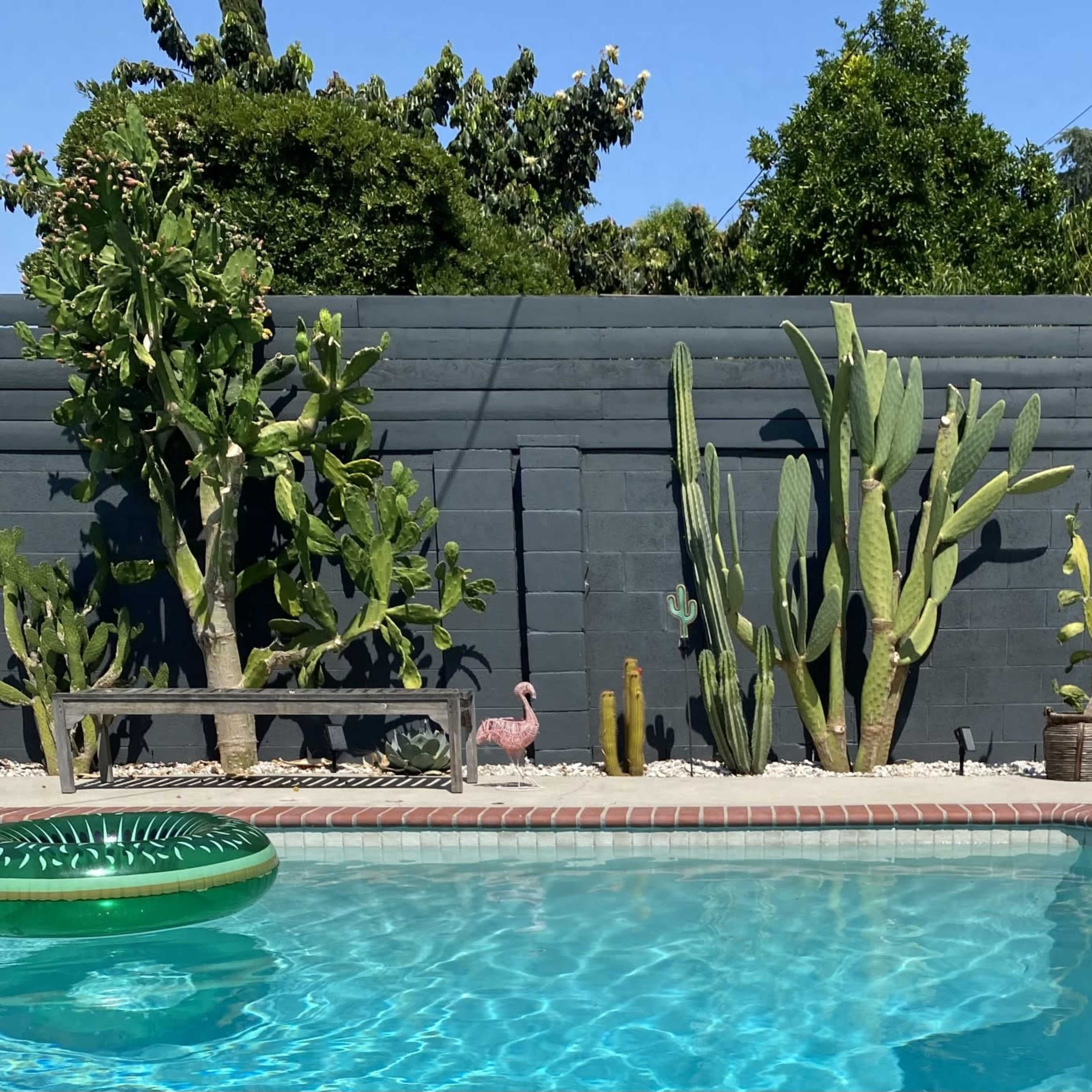 A clear swimming pool is surrounded by various cactus plants and a pink flamingo decoration against a gray wall.