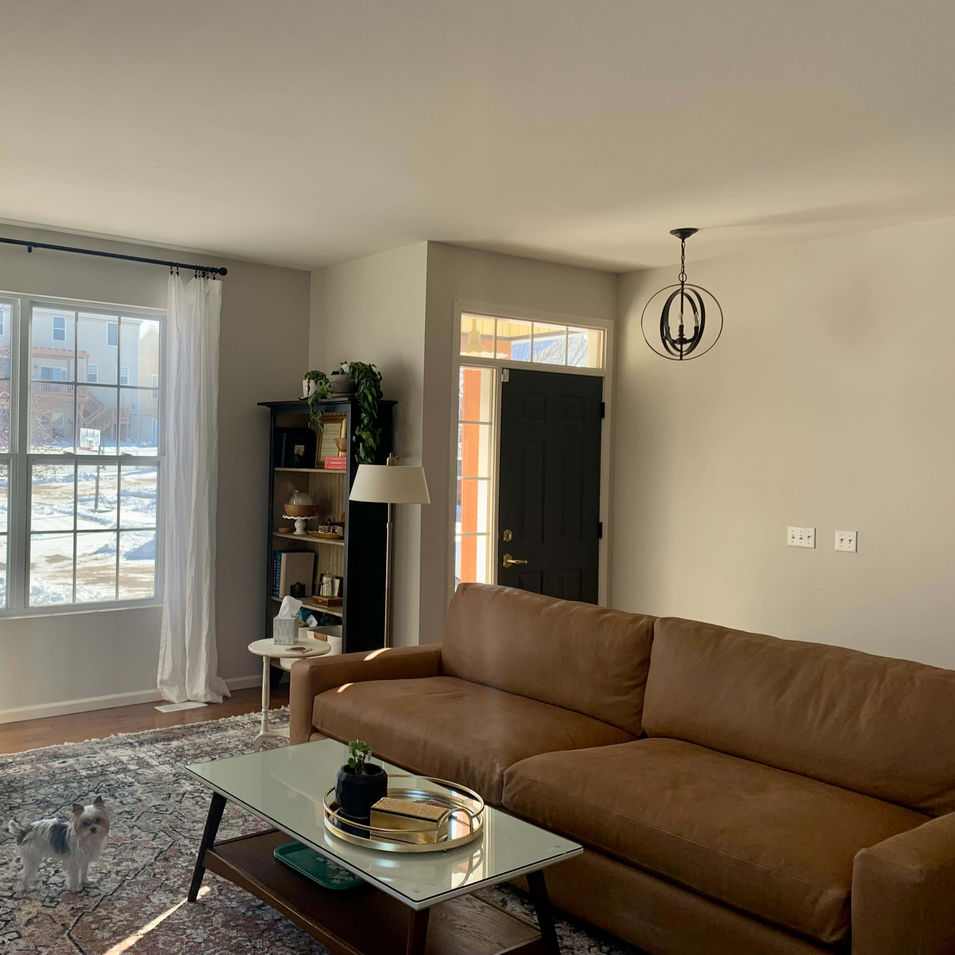 A living room with a large window, a brown couch, a white armchair, and a small dog on a patterned rug.
