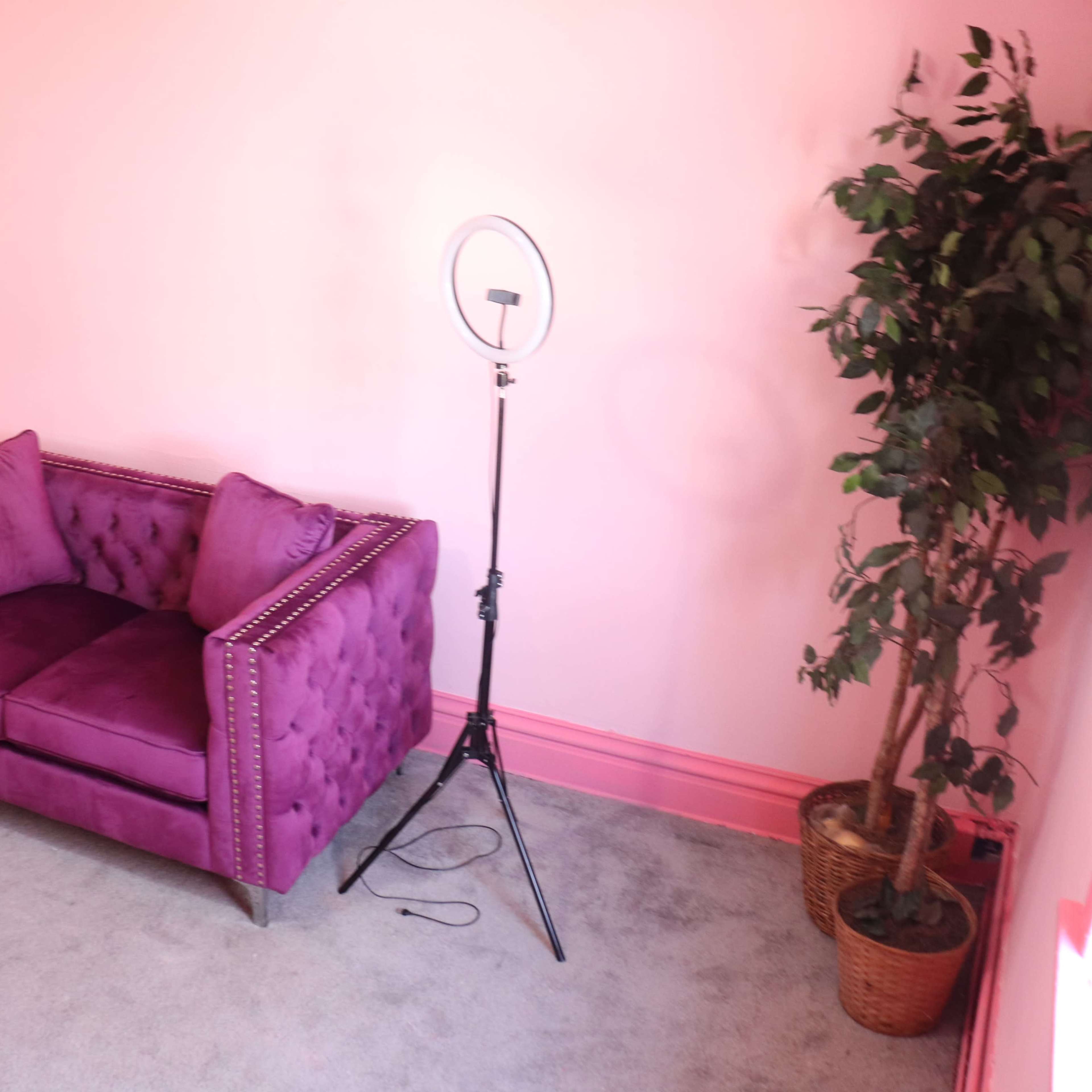 A purple tufted sofa with two cushions is positioned next to a ring light and a potted plant in a pink-walled room.