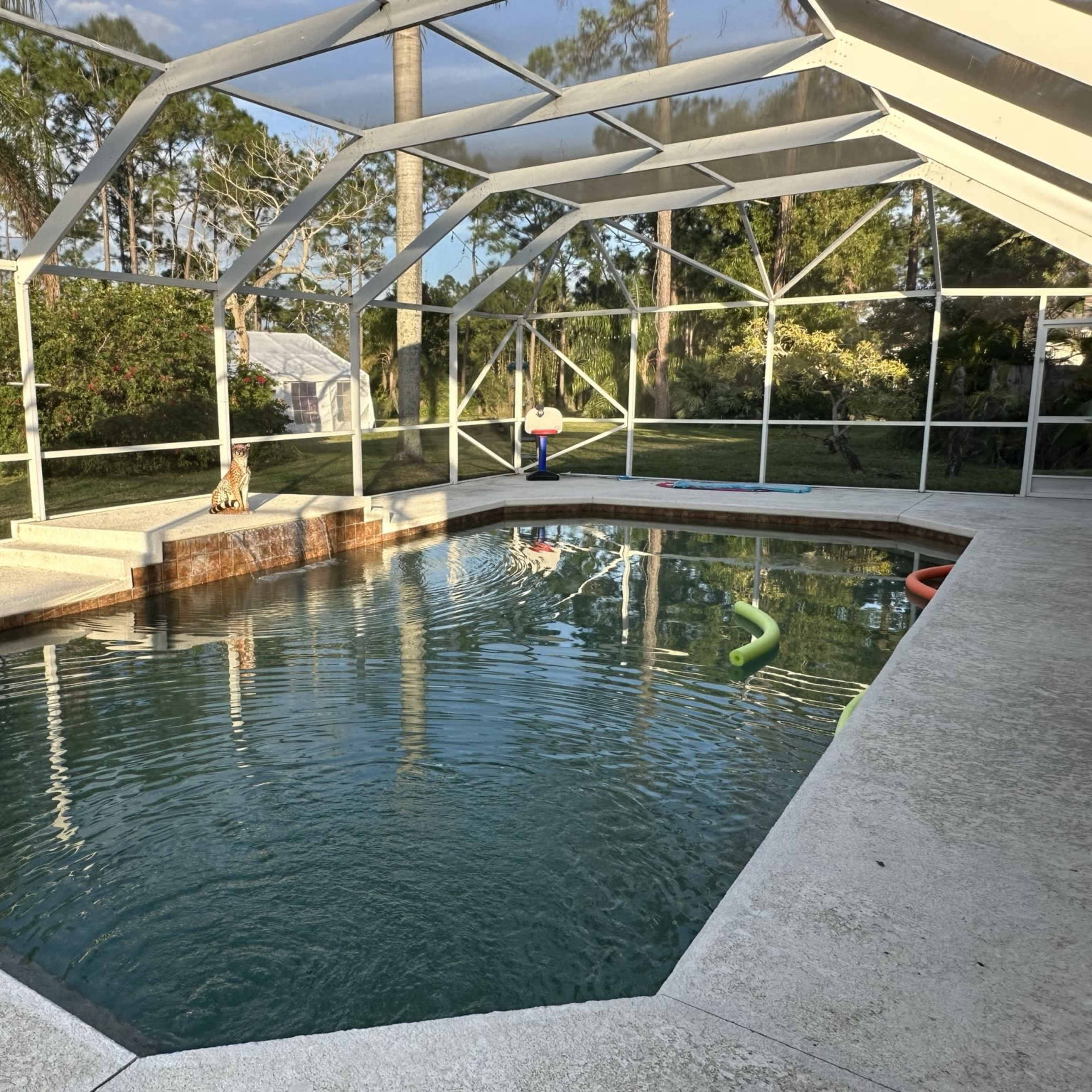 A screened-in pool area with a clear water pool, surrounded by greenery and a patio with steps leading into the water.