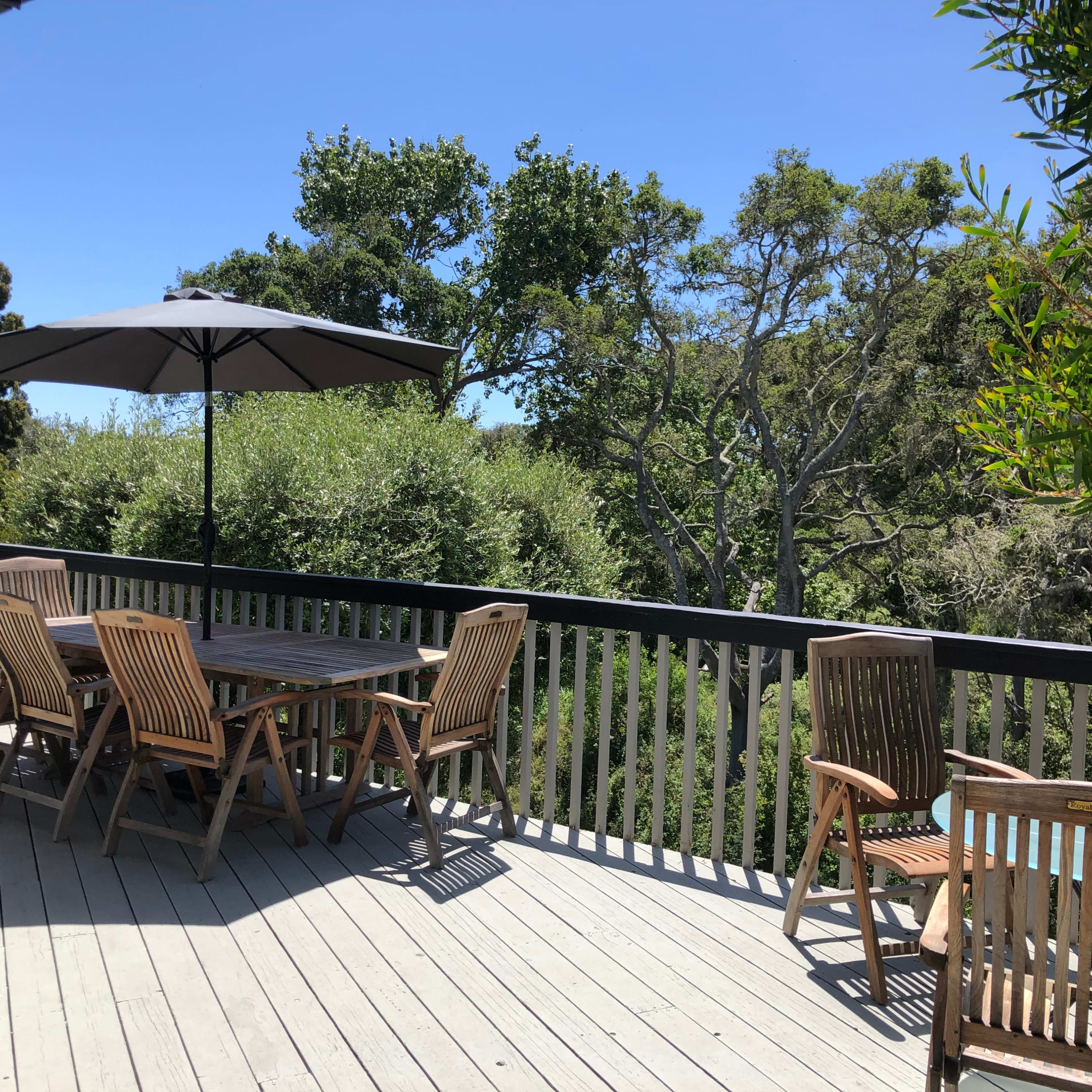 A wooden deck features a dining table surrounded by chairs and an umbrella, with greenery visible in the background.
