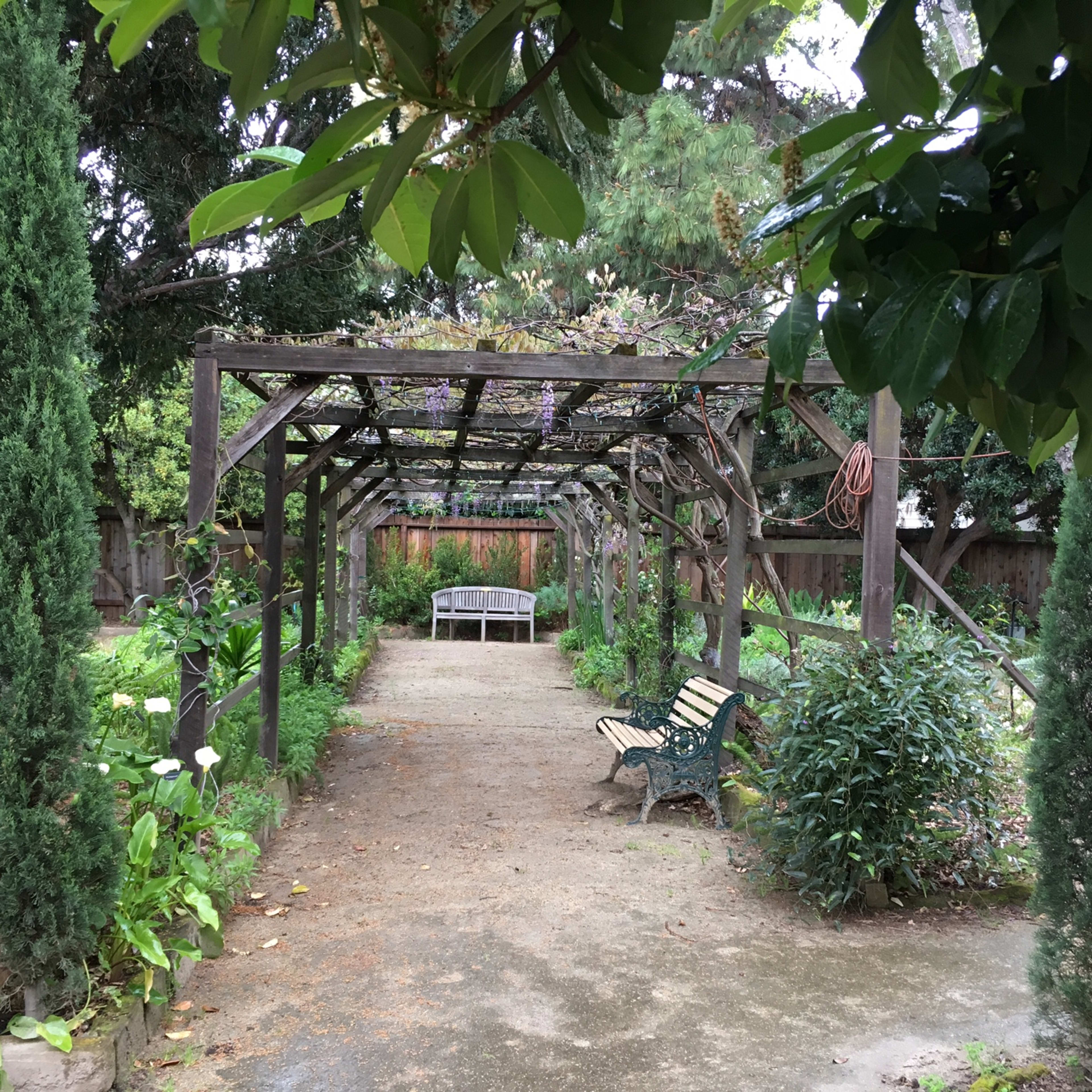 A pathway leads through a garden shaded by an overhead trellis, with a bench on one side and greenery lining the sides.