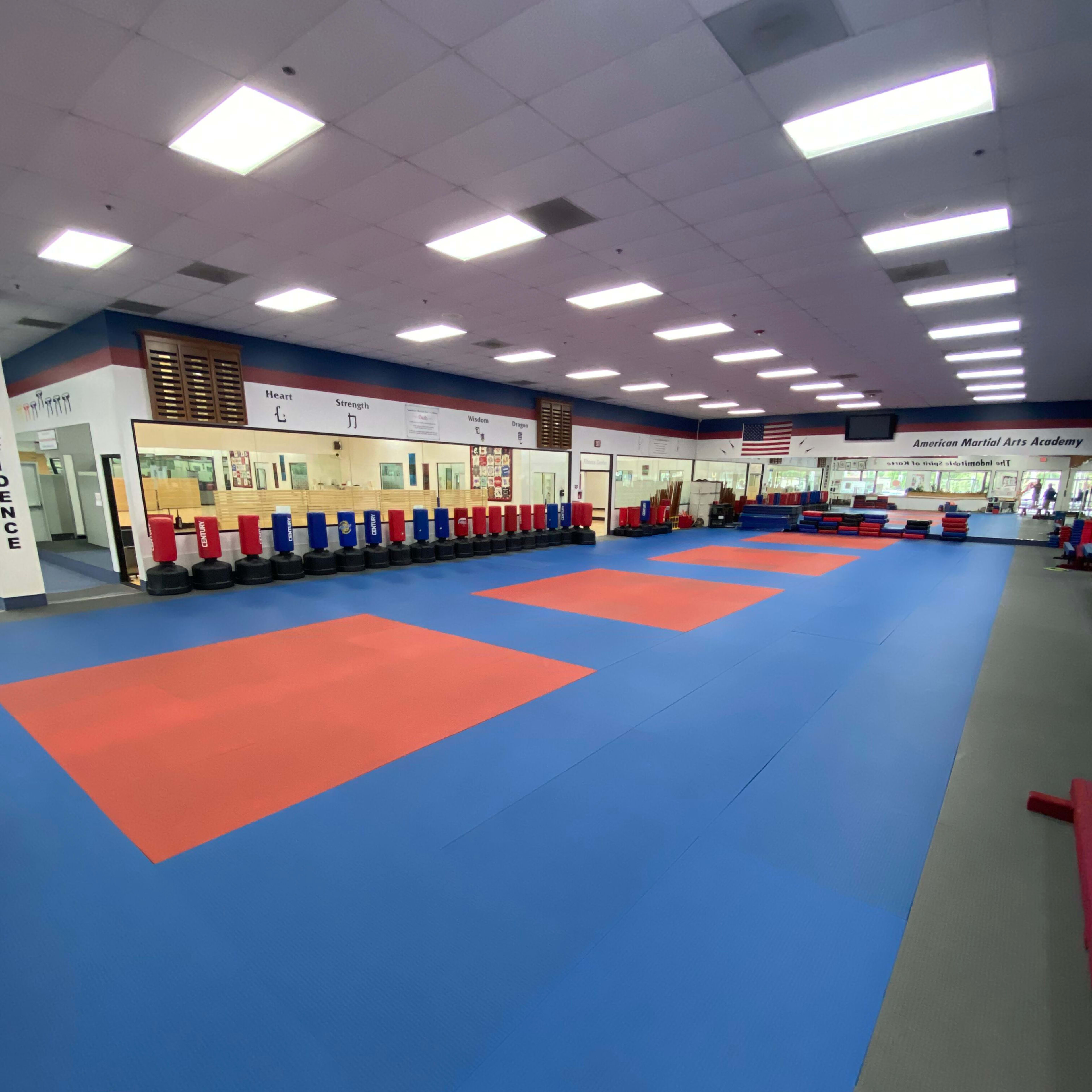 A spacious martial arts training room with a blue and red mat area, surrounded by equipment and training stations.