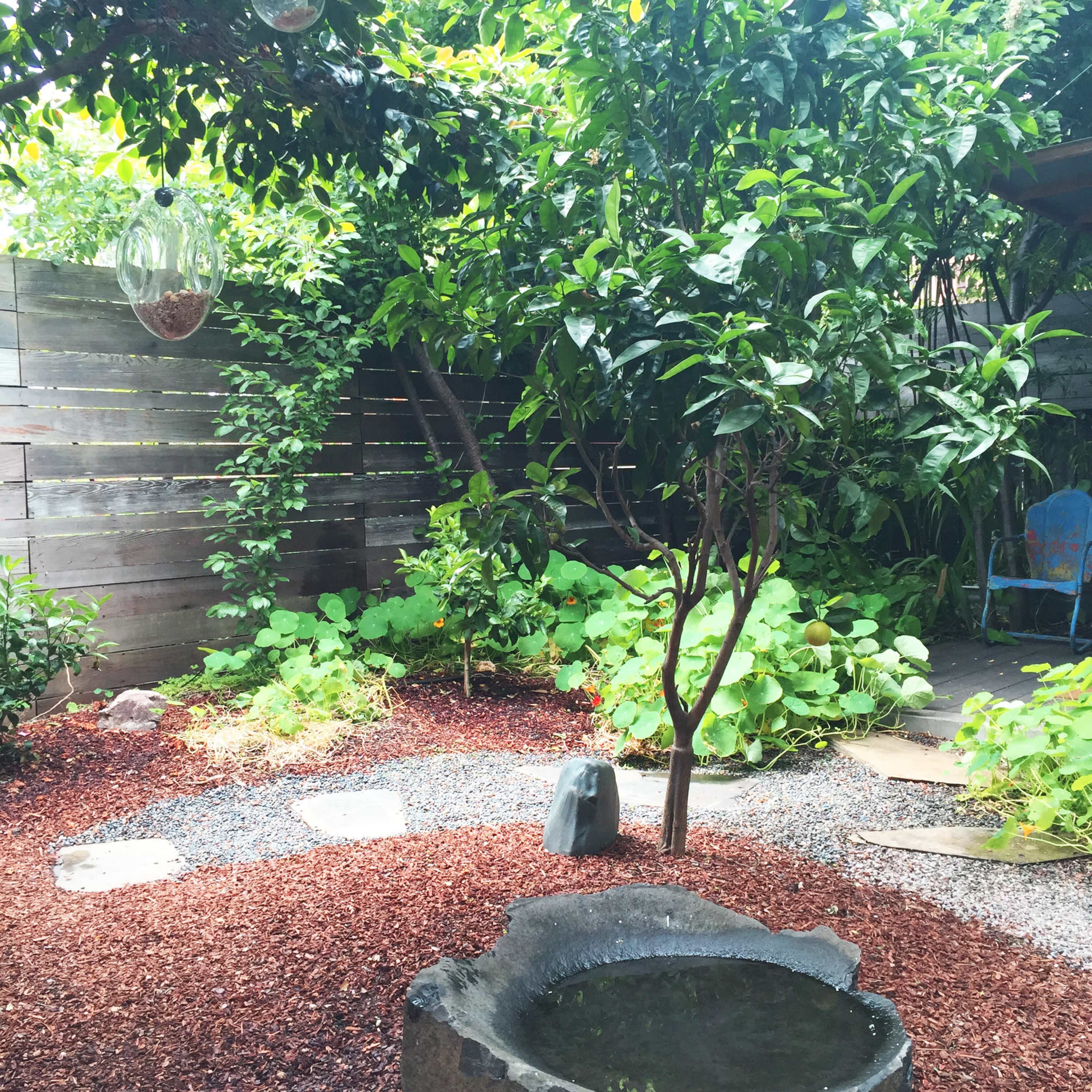A serene garden with a stone basin in the foreground, surrounded by gravel, mulch, and lush greenery under a wooden fence.