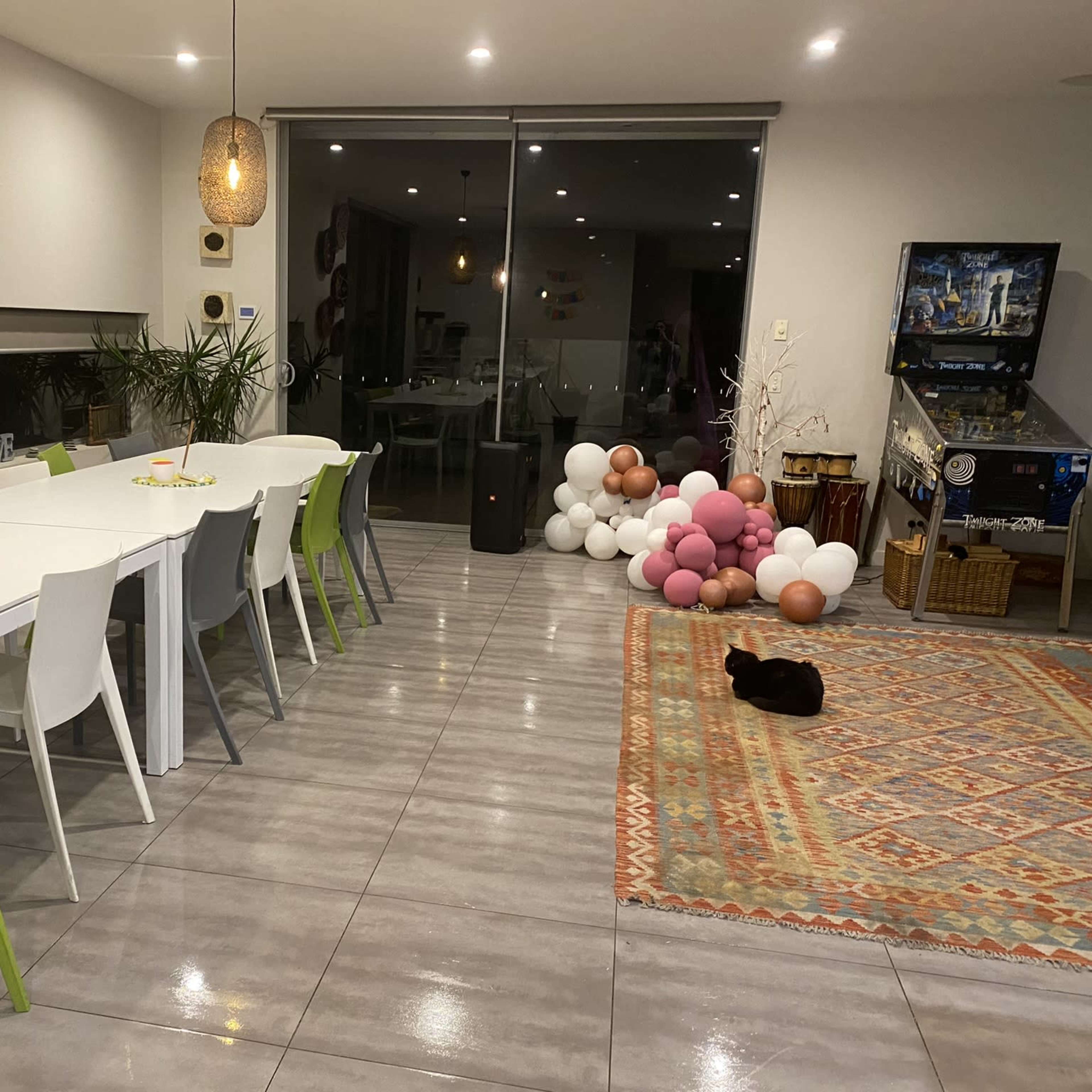 A spacious dining area features a long white table with colorful chairs, a patterned rug on the floor, and a black cat resting nearby.