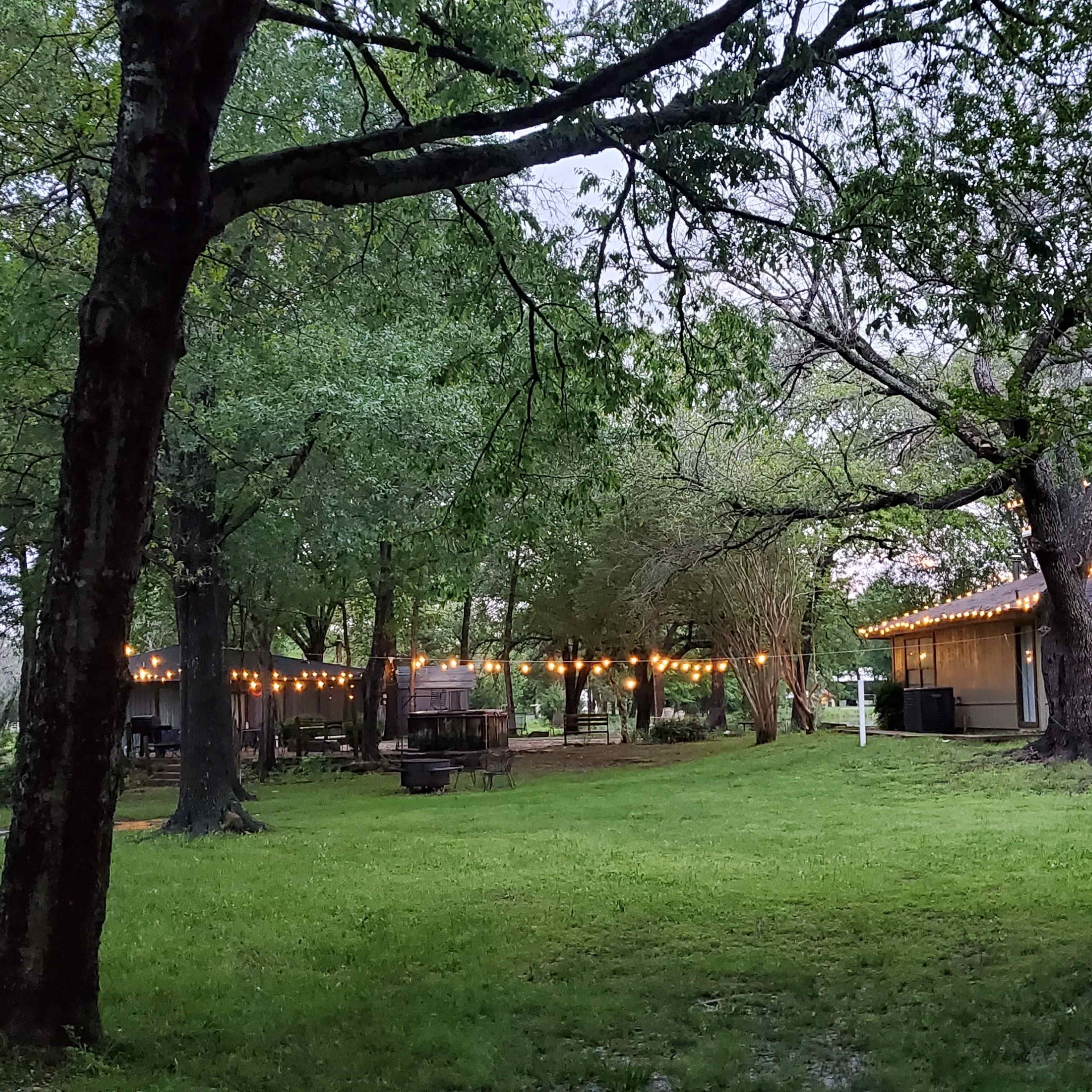 A backyard area with string lights hanging between trees beside a house, surrounded by grass and greenery.