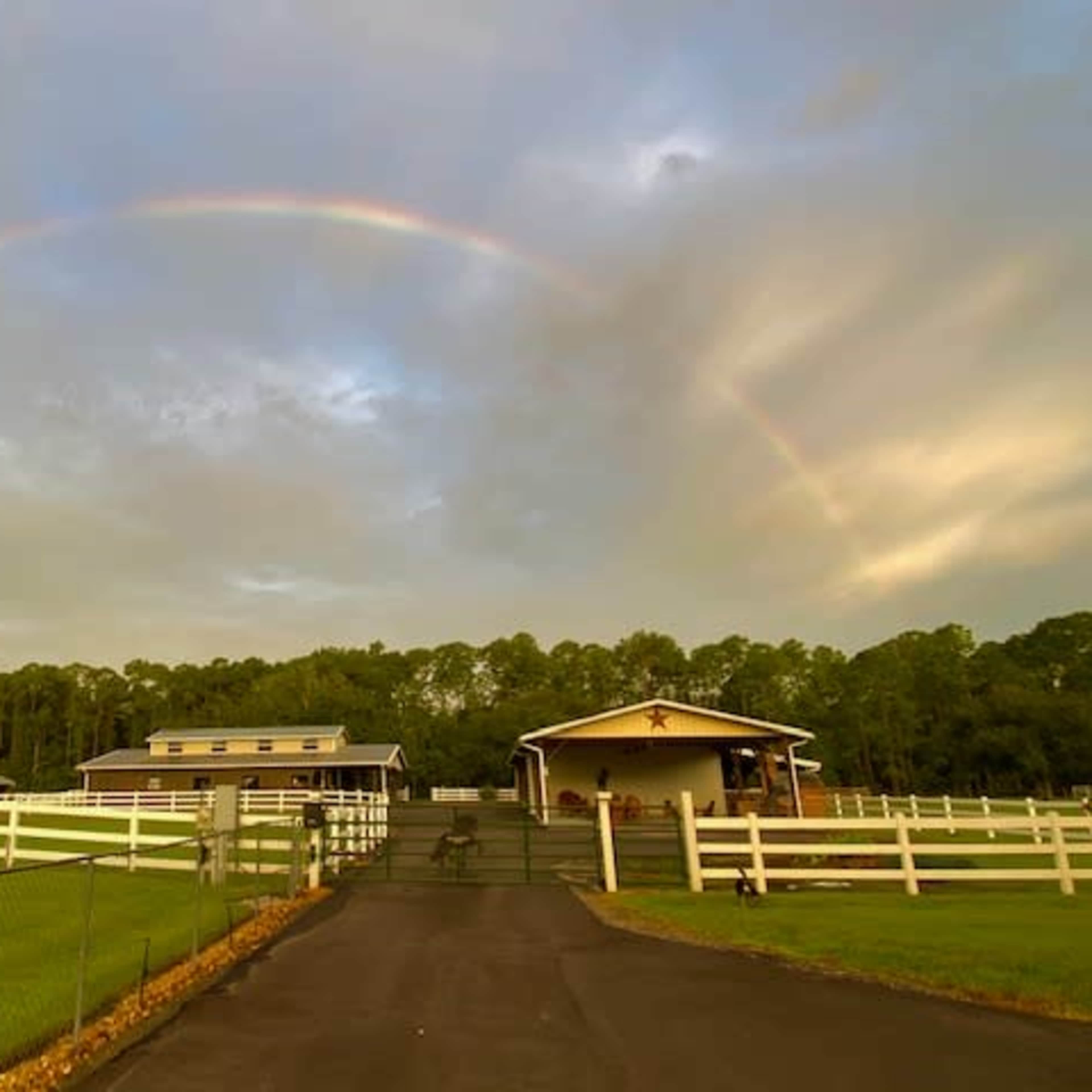 Angel's Animal Sanctuary Image in Spring Forest, New Smyrna Beach, FL