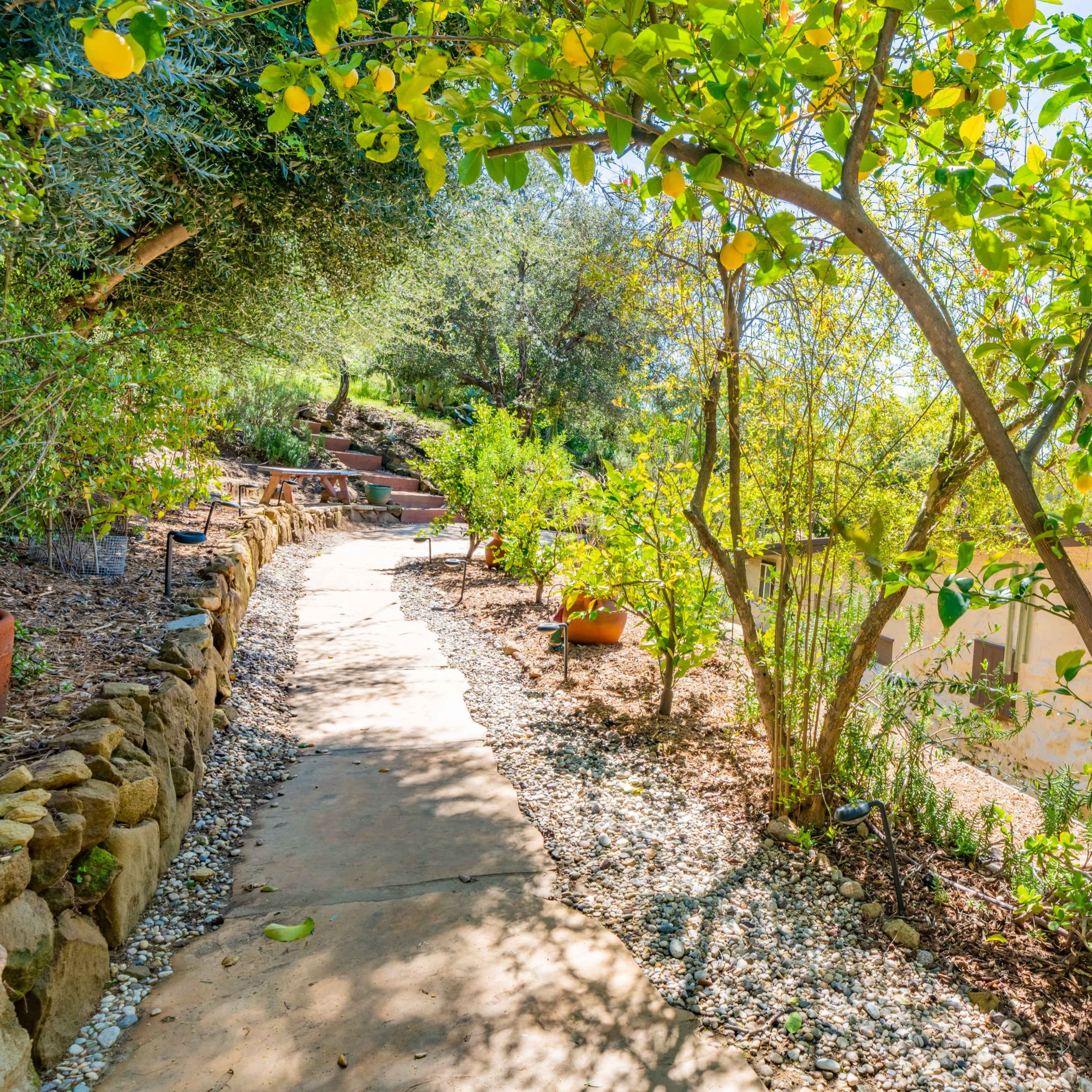 A stone pathway winds through a garden with lush greenery and trees, leading towards a building in the background.