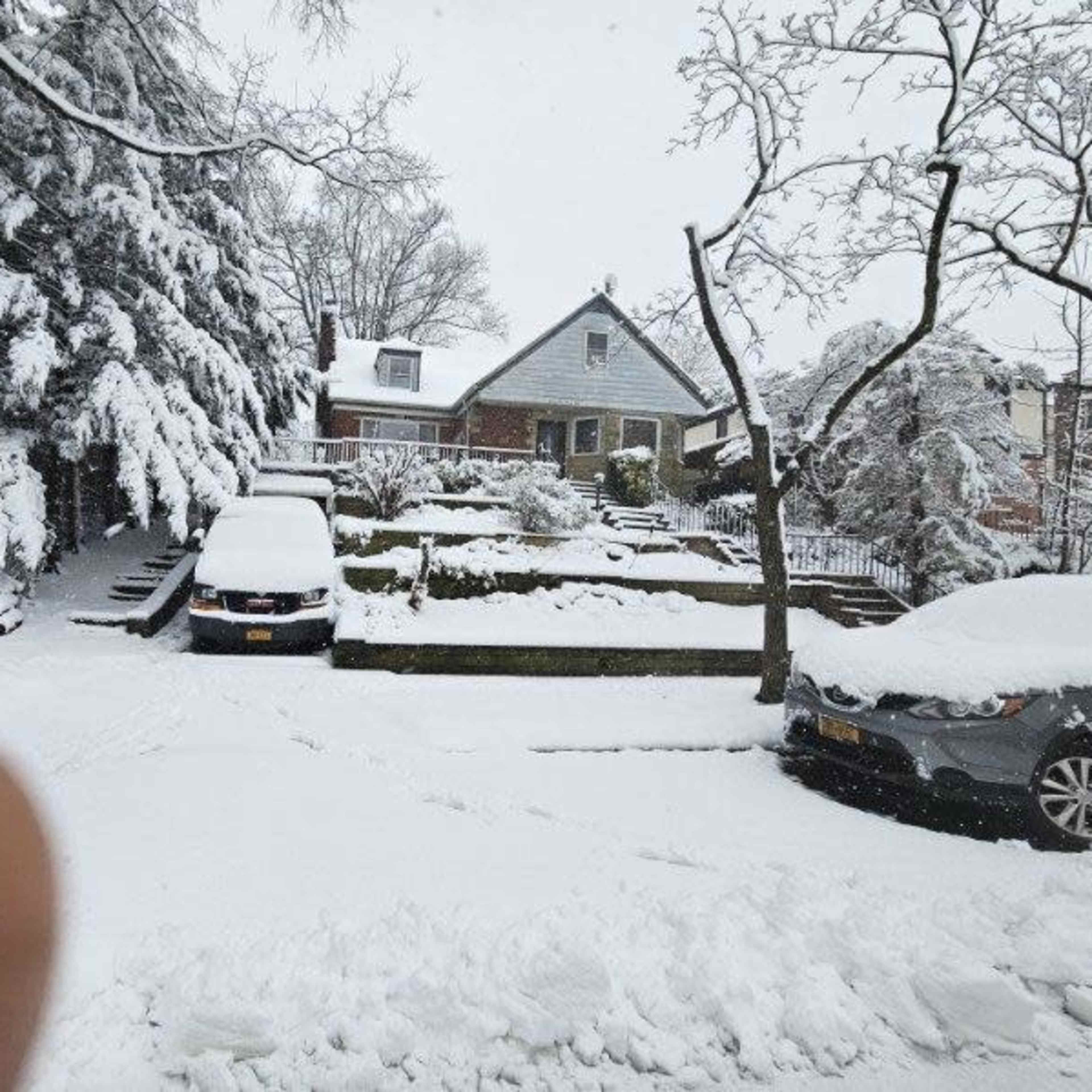A residential street is covered in snow, with two parked cars visible in the driveway and a house surrounded by snow-laden trees in the background.