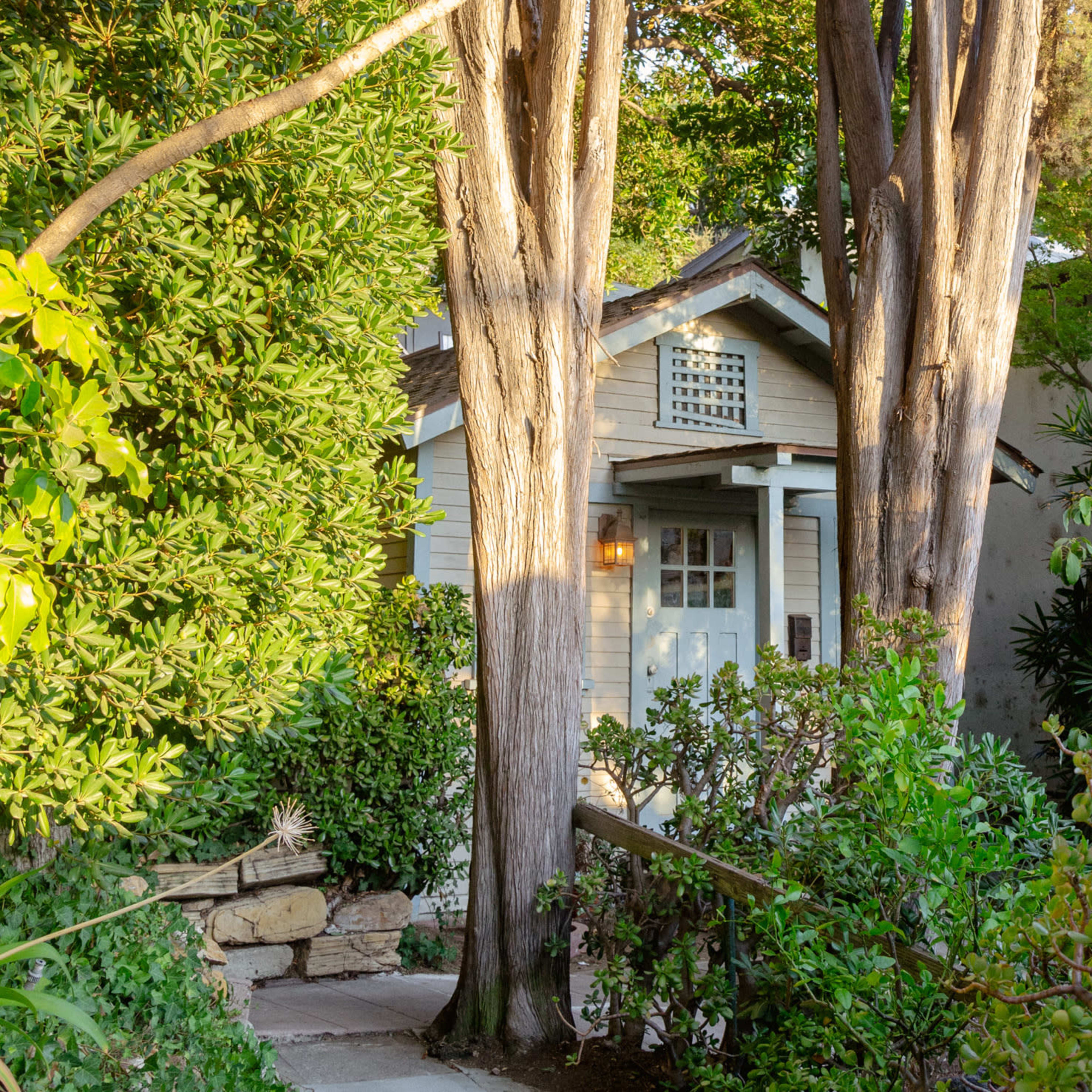 A small, pale house is nestled between two tall trees, surrounded by lush greenery and a stone pathway.