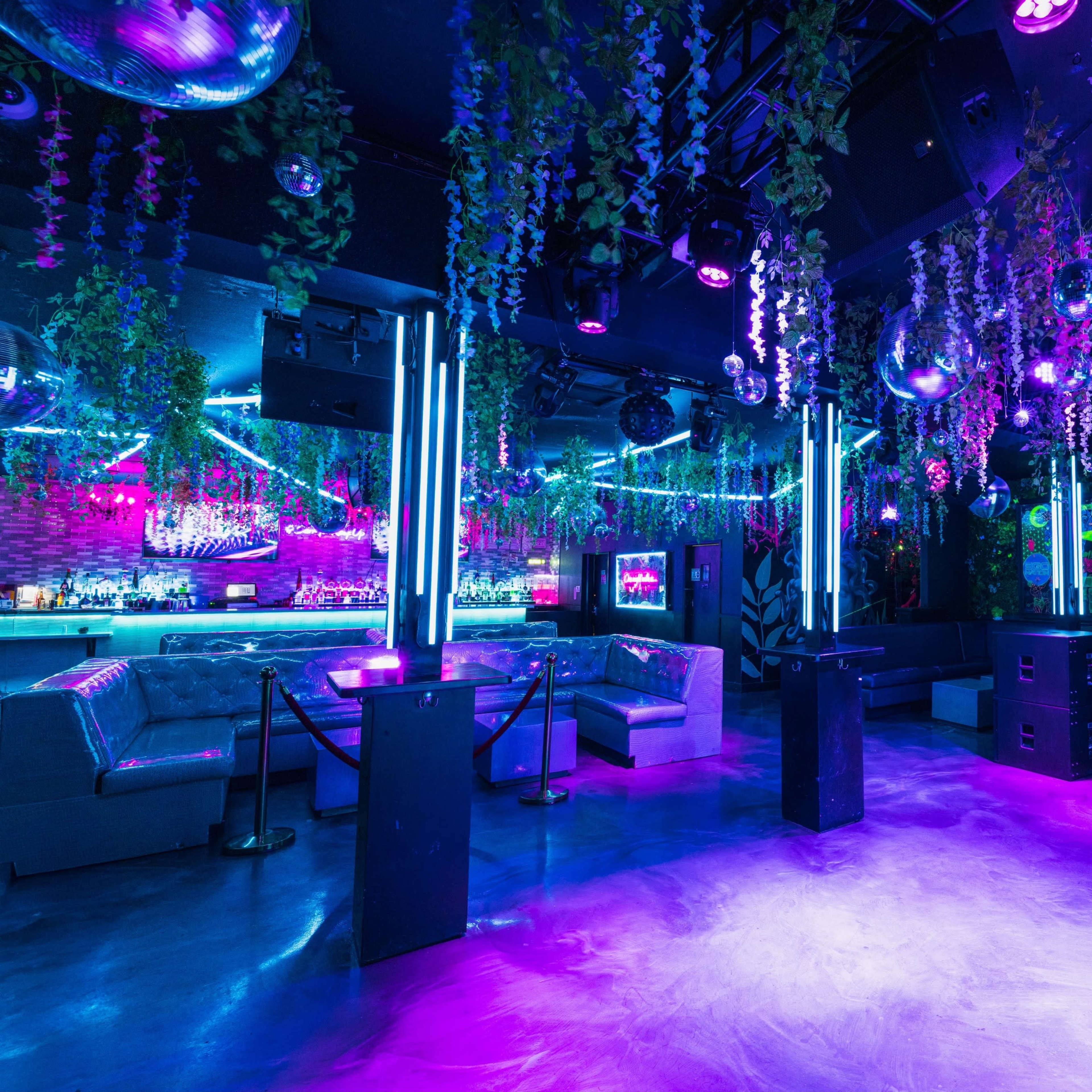 Fully Operational Nightclub Venue Image in Southridge, Las Vegas, NV