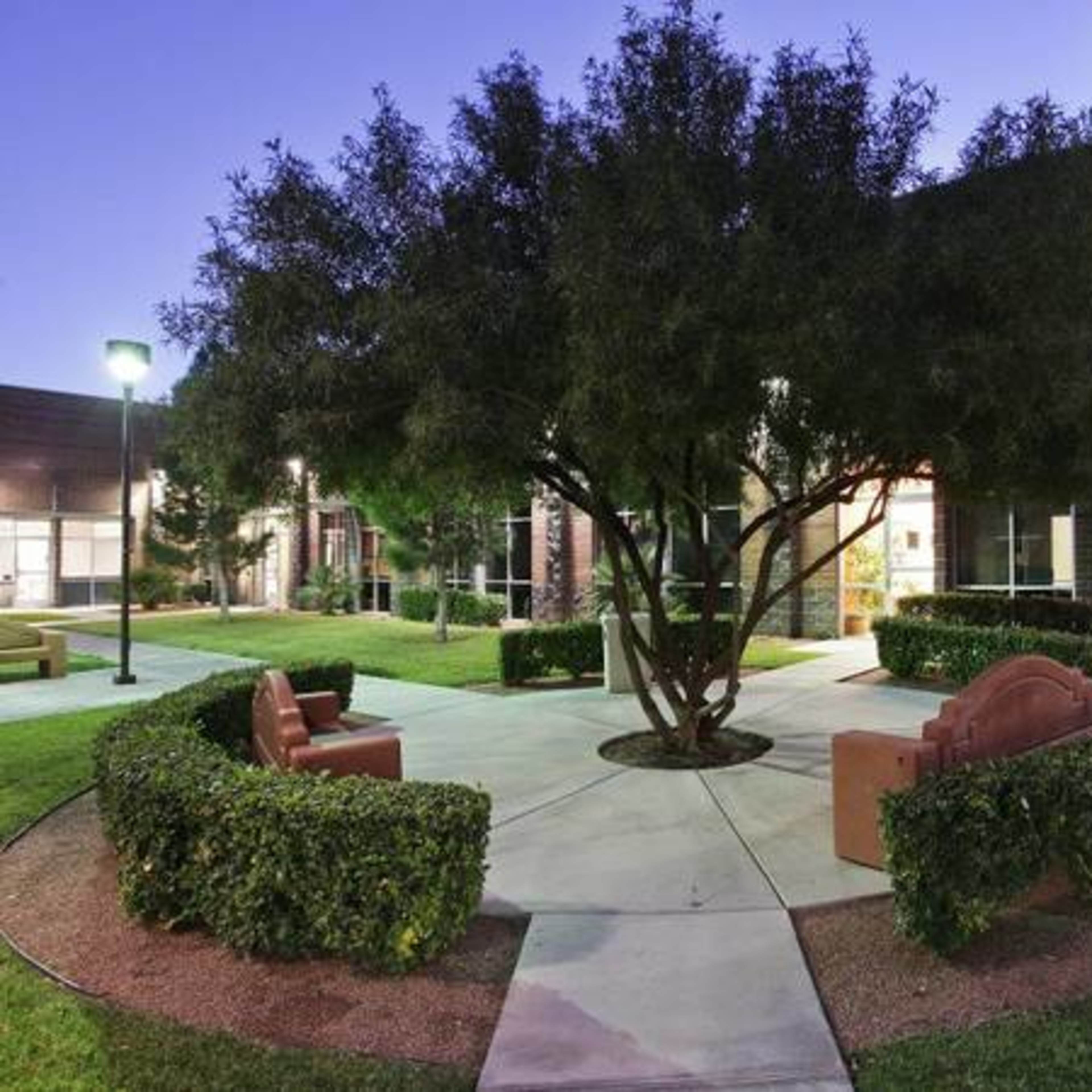 A landscaped courtyard features a large tree at its center surrounded by benches and pathways, illuminated by soft lighting.