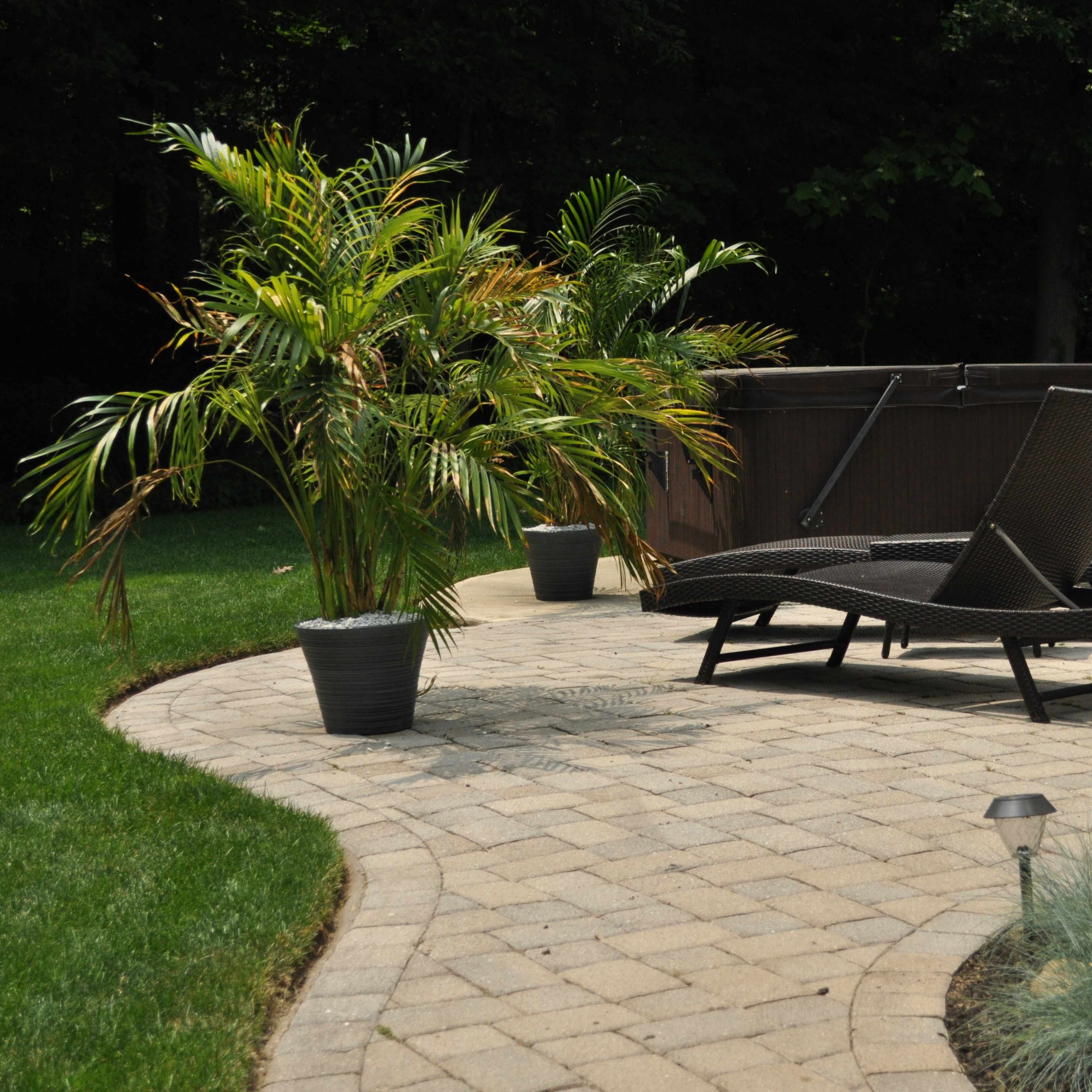 A patio area with a hot tub, two lounge chairs, and potted palm plants, surrounded by a green lawn and landscaped borders.