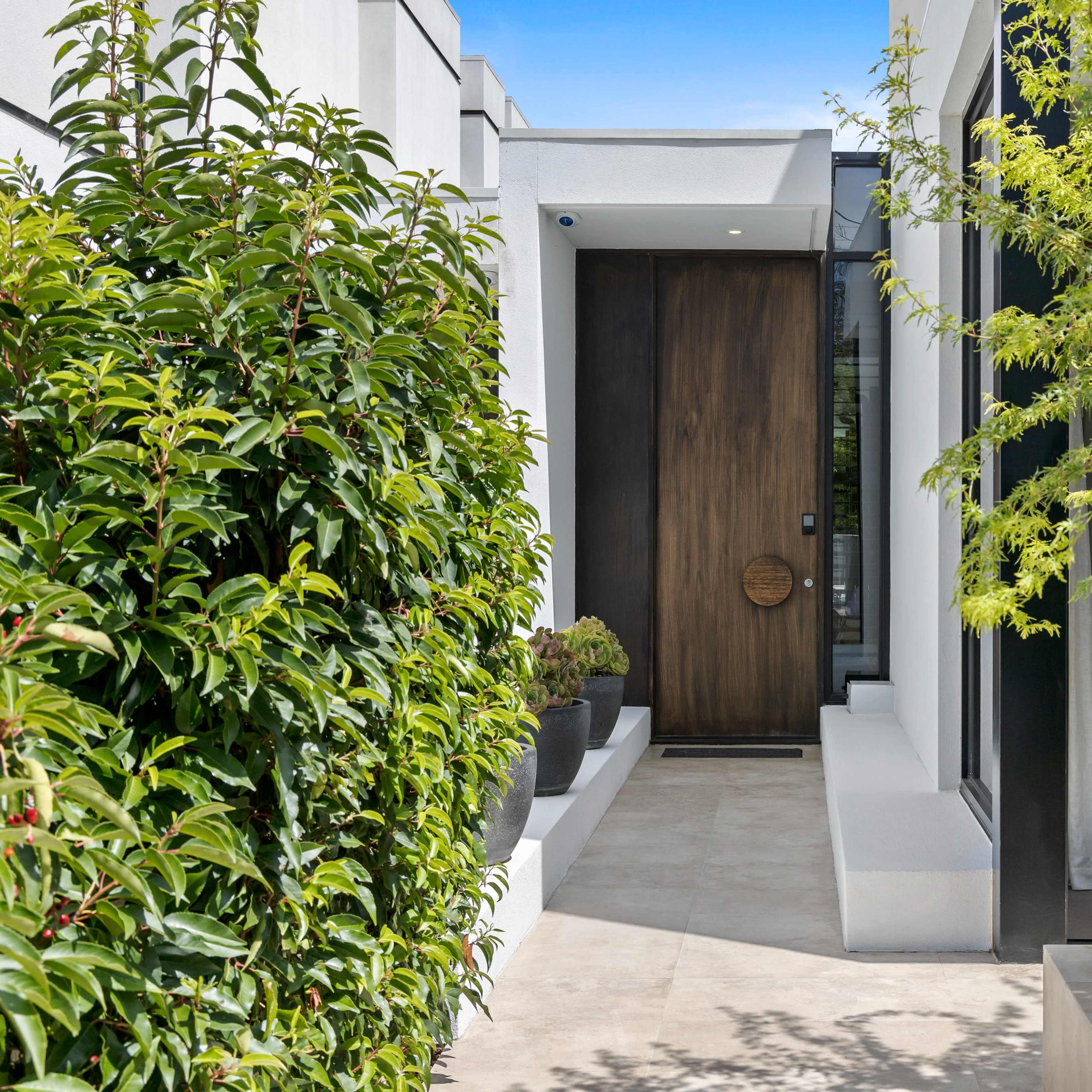 A modern entrance with a wooden door surrounded by greenery and a glass wall showcasing an interior space.