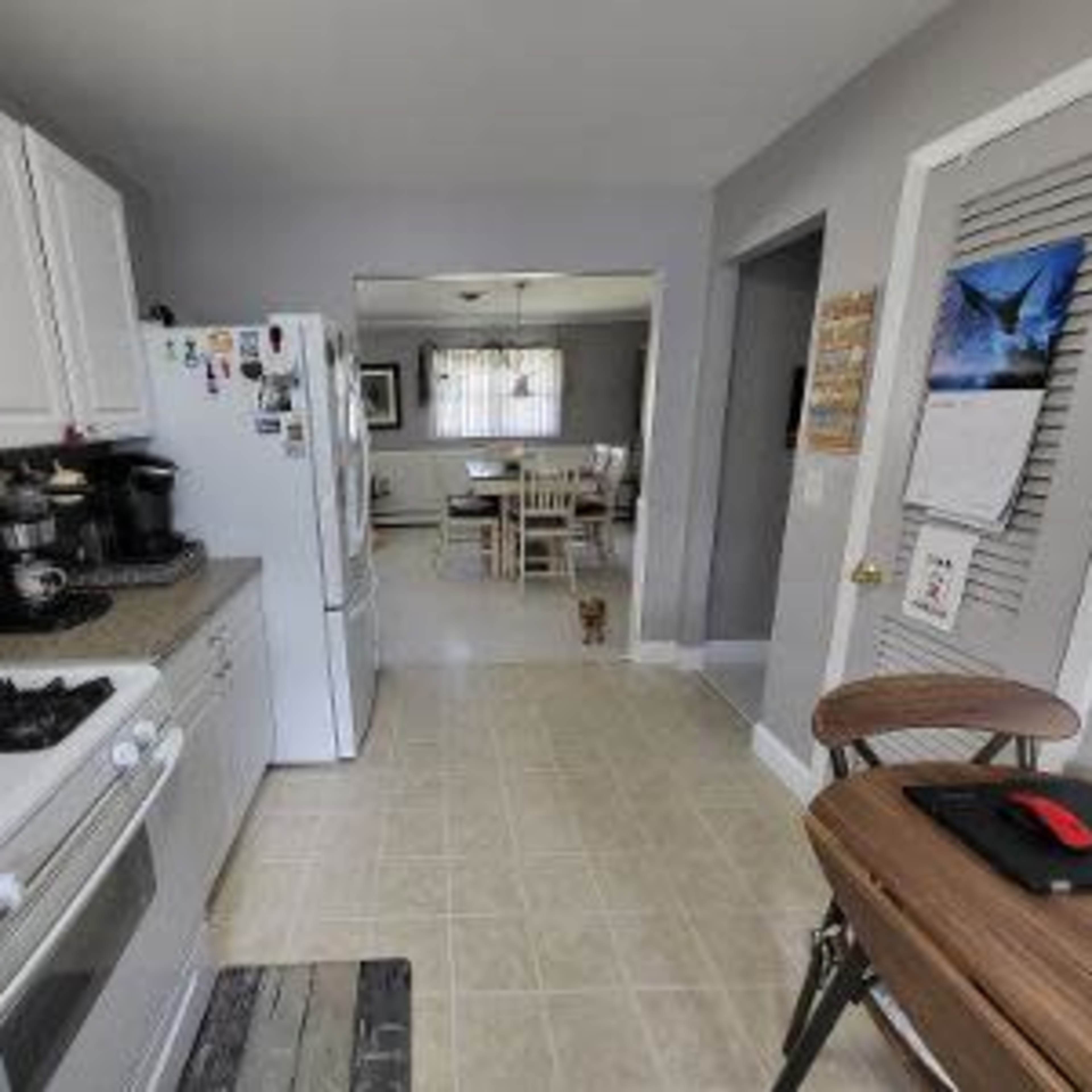 A kitchen scene features white cabinetry, an adjacent dining area, and a small dog on the floor.